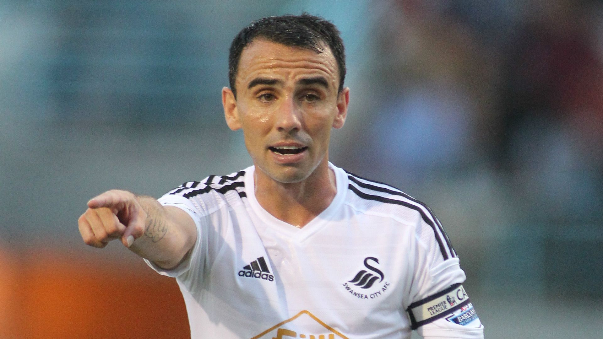 Leon Britton - Swansea