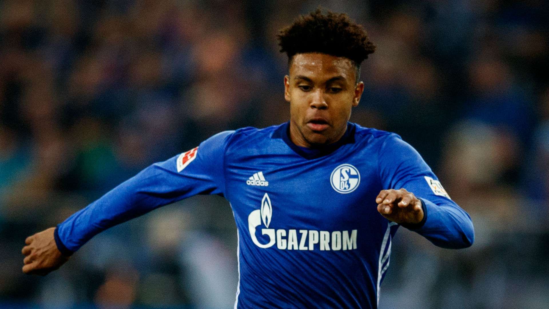 Weston McKennie Schalke