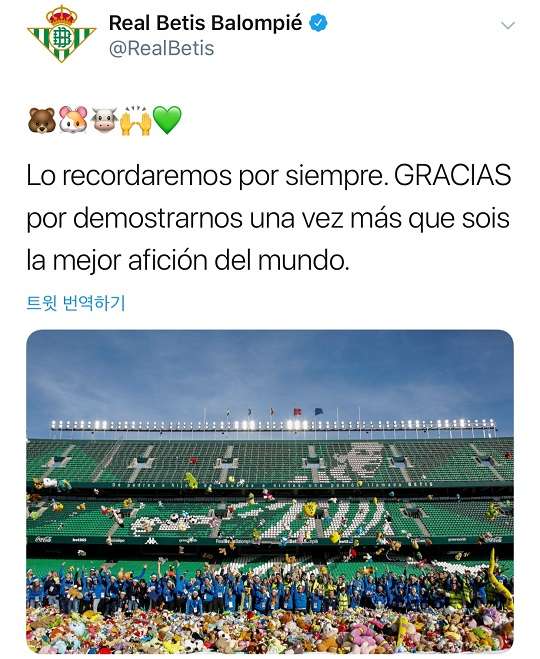 레알 베티스 팬들에 의해 모인 인형들. 사진=레알 베티스 공식 트위터