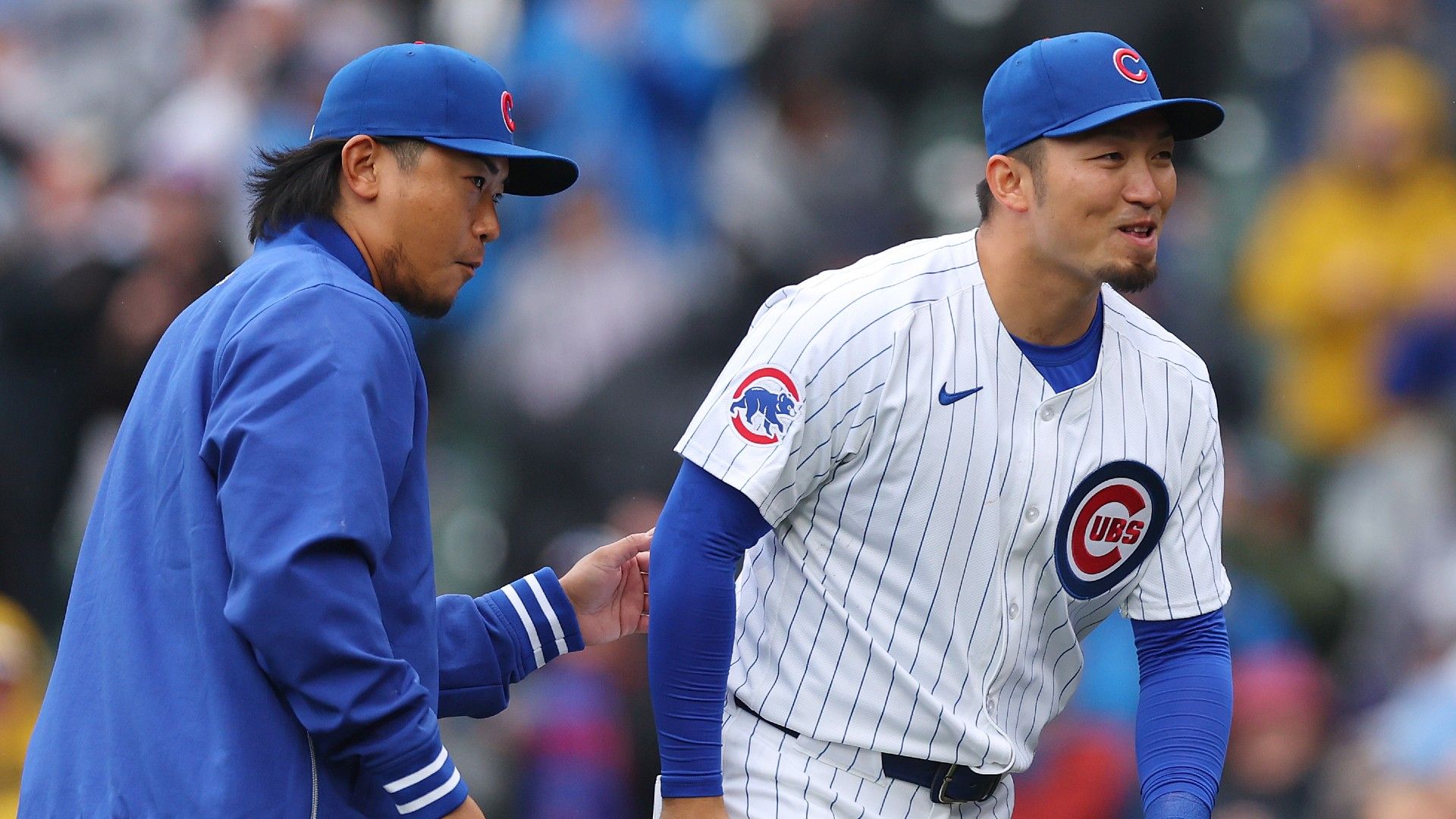 imanaga suzuki cubs 2025