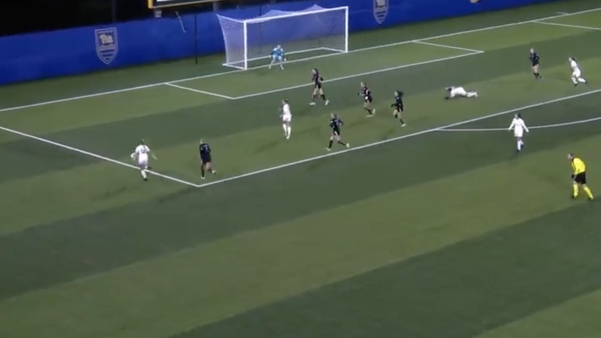 Leah Pais Pitt Panthers