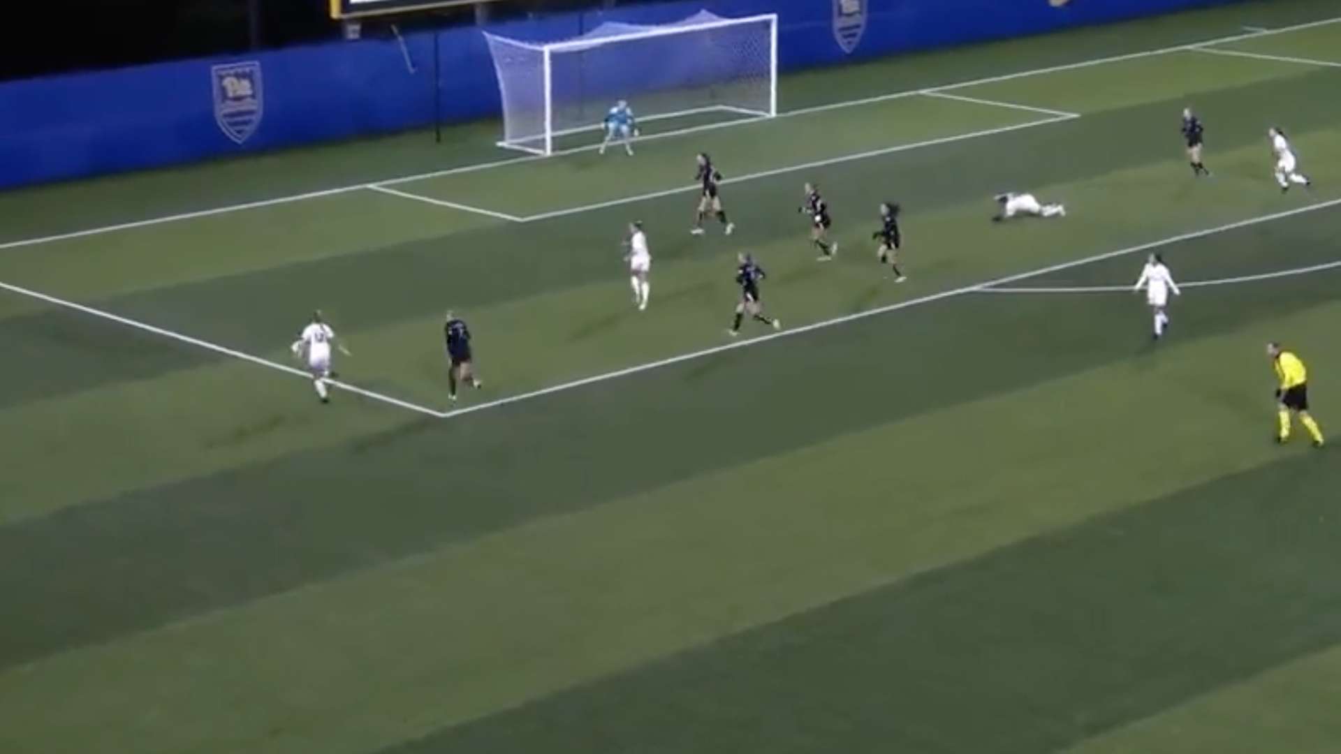 Leah Pais Pitt Panthers