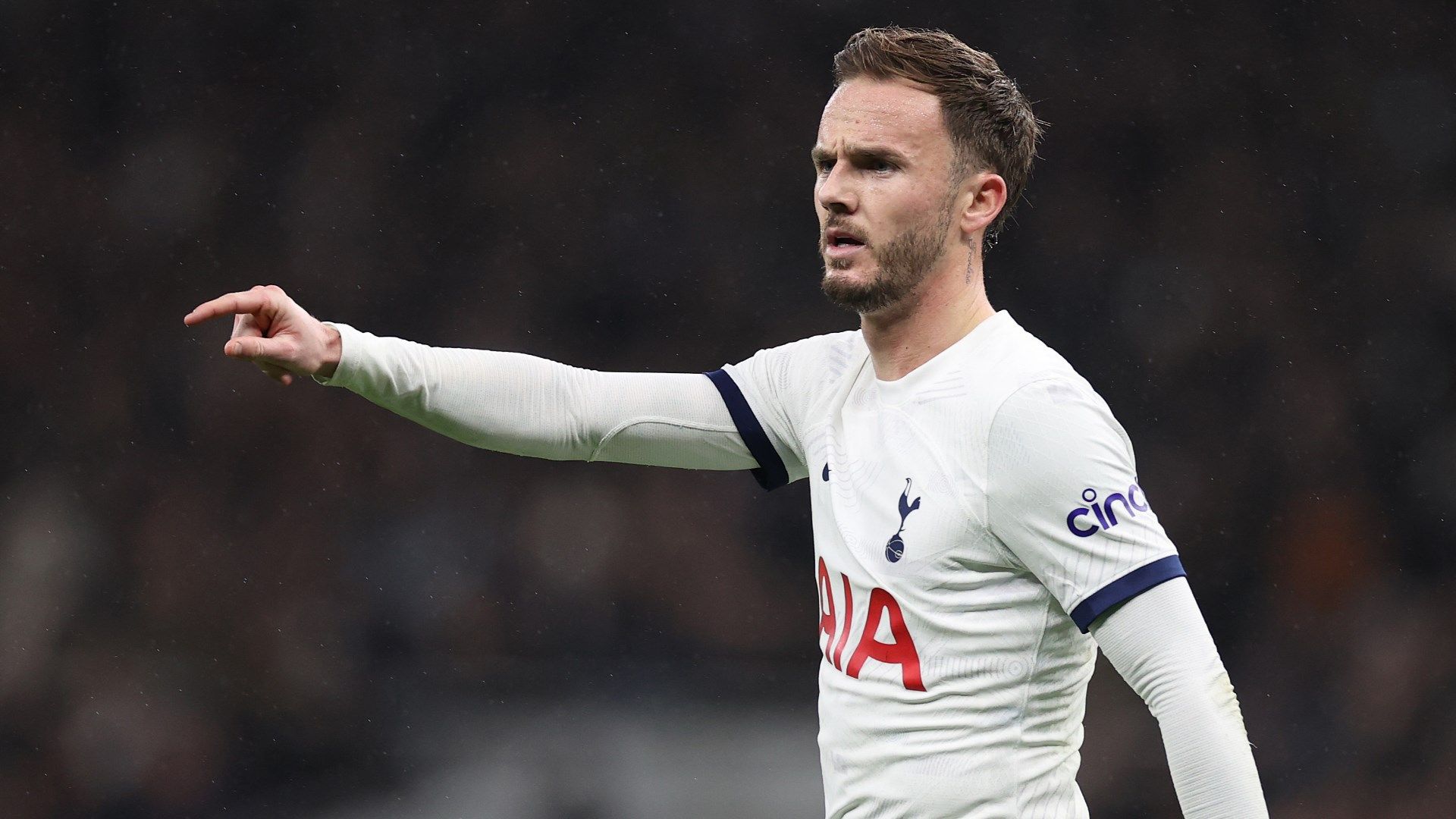 James Maddison Tottenham 2023-24