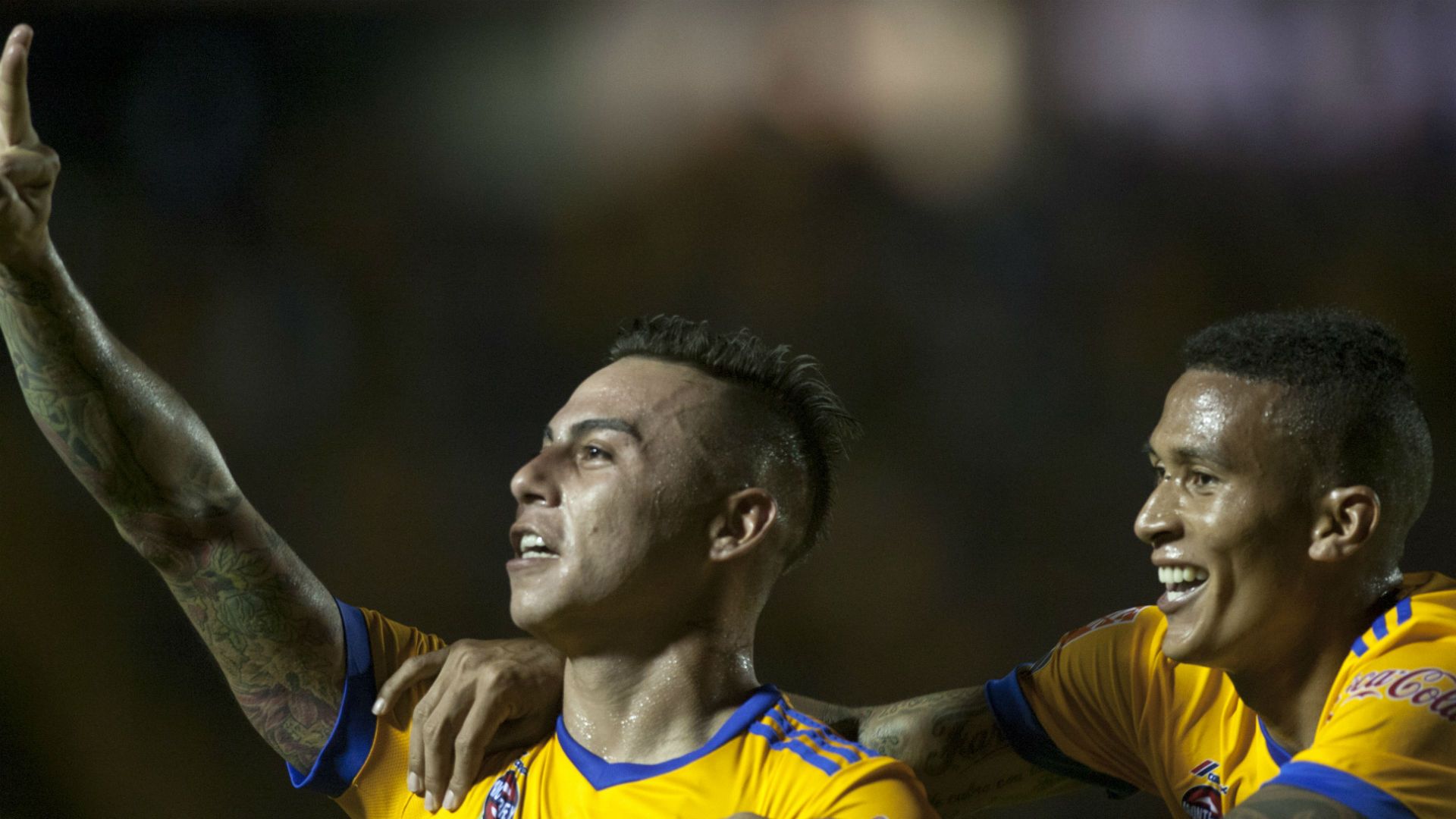 tigres vargas festejo lobos