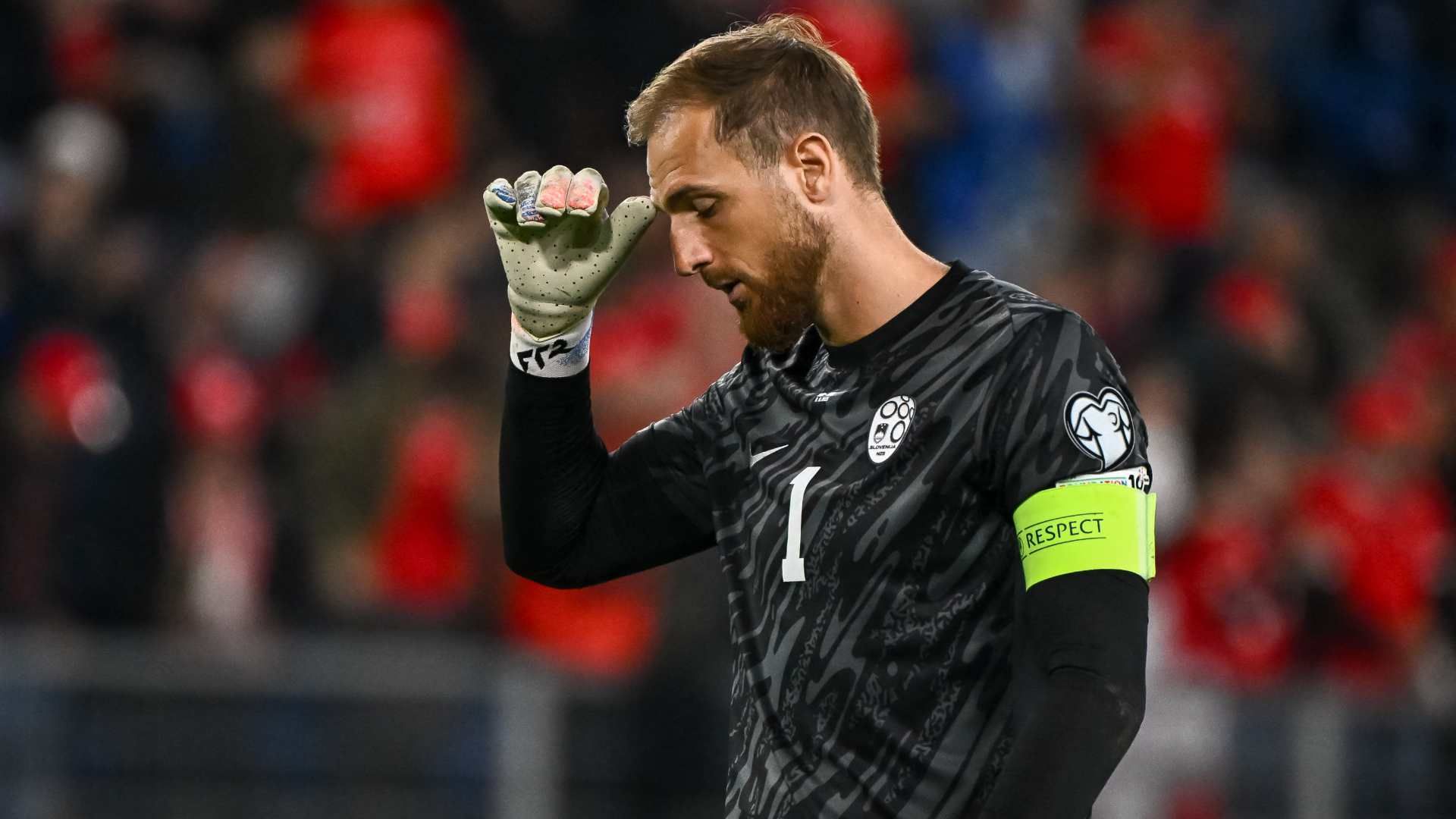 oblak
