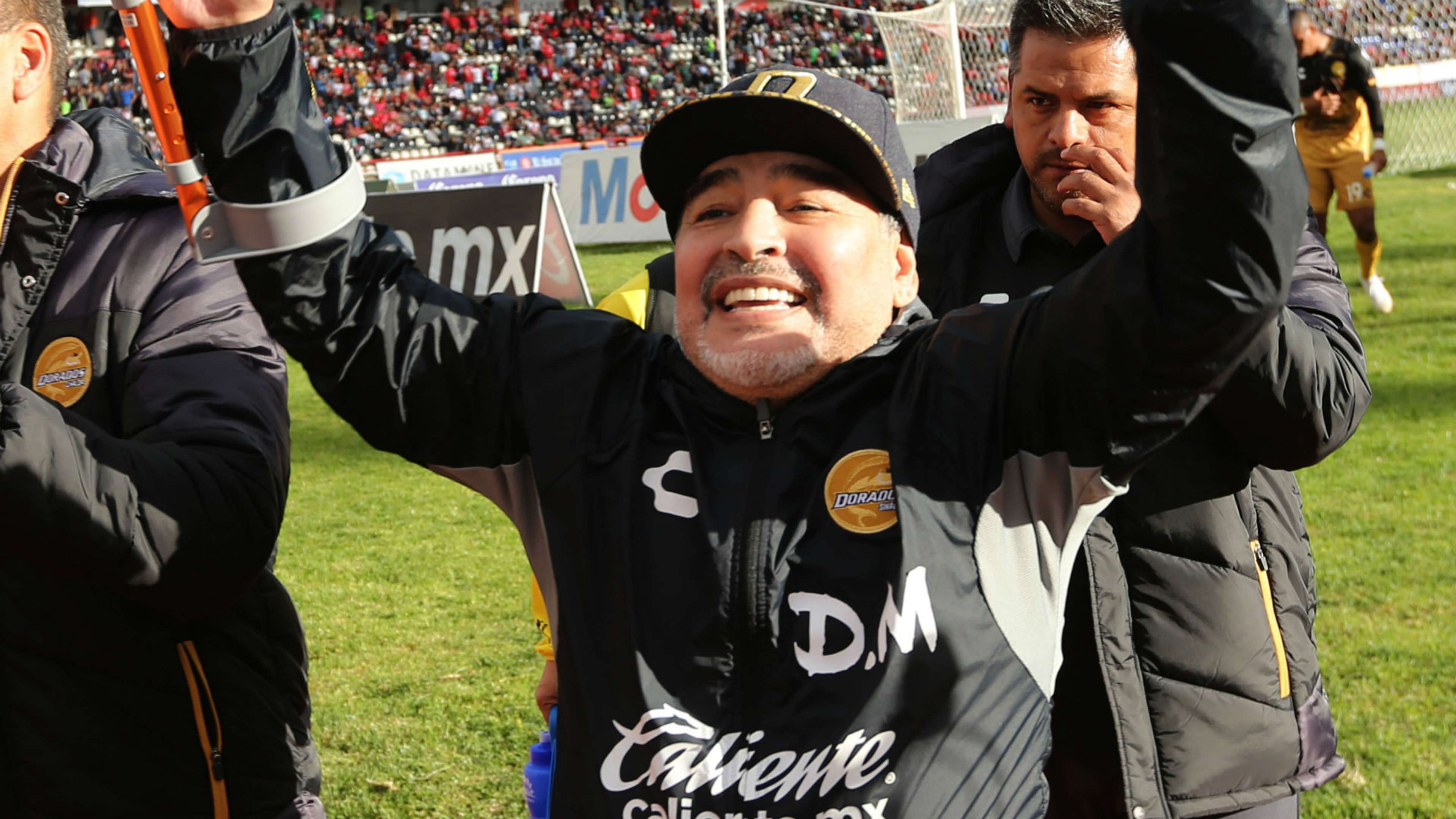 Diego Maradona Dorados 2018