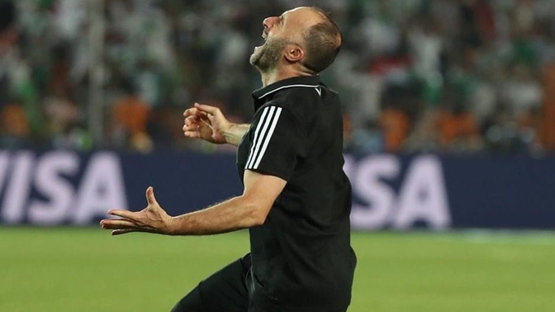 Algeria coach Djamel Belmadi.