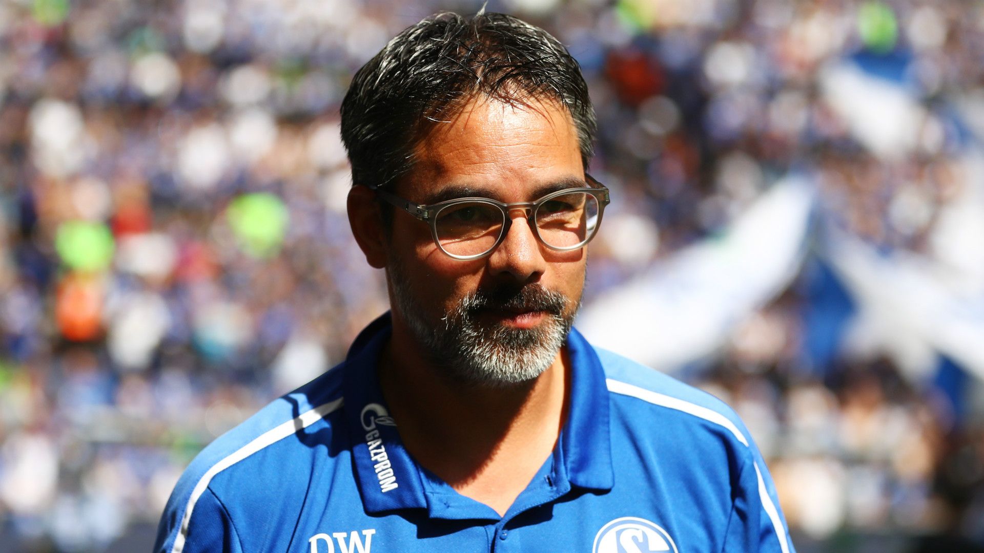 David Wagner Schalke 04 2019