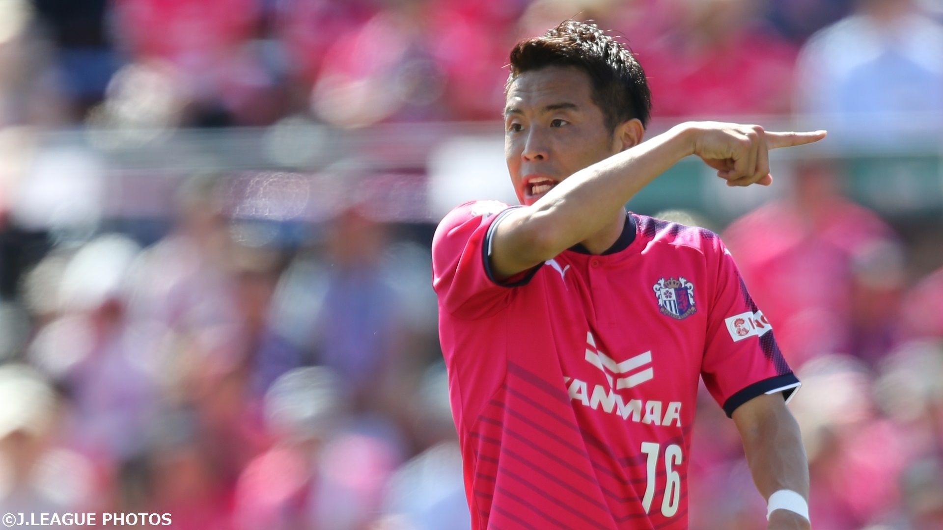 2017-07-15-cerezo-mizunuma
