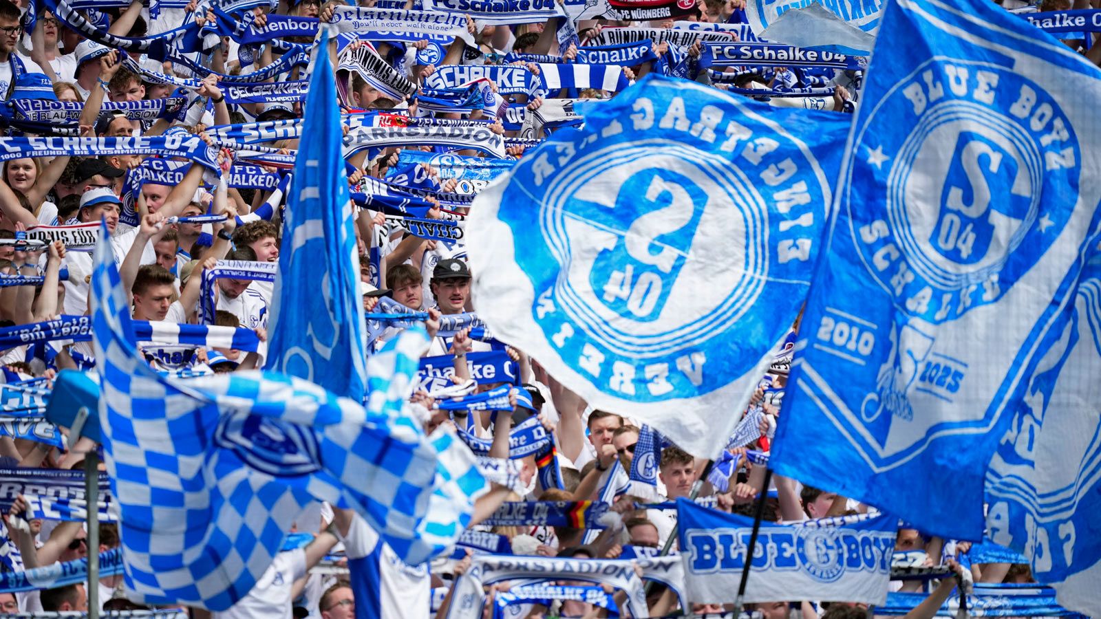 schalke fans 2025