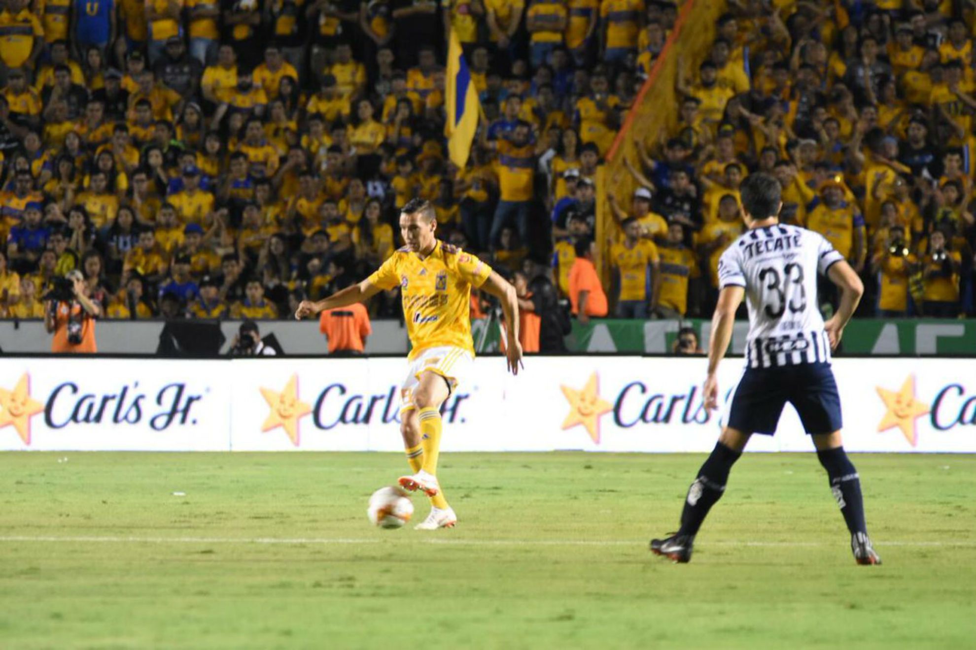 Tigres Rayados