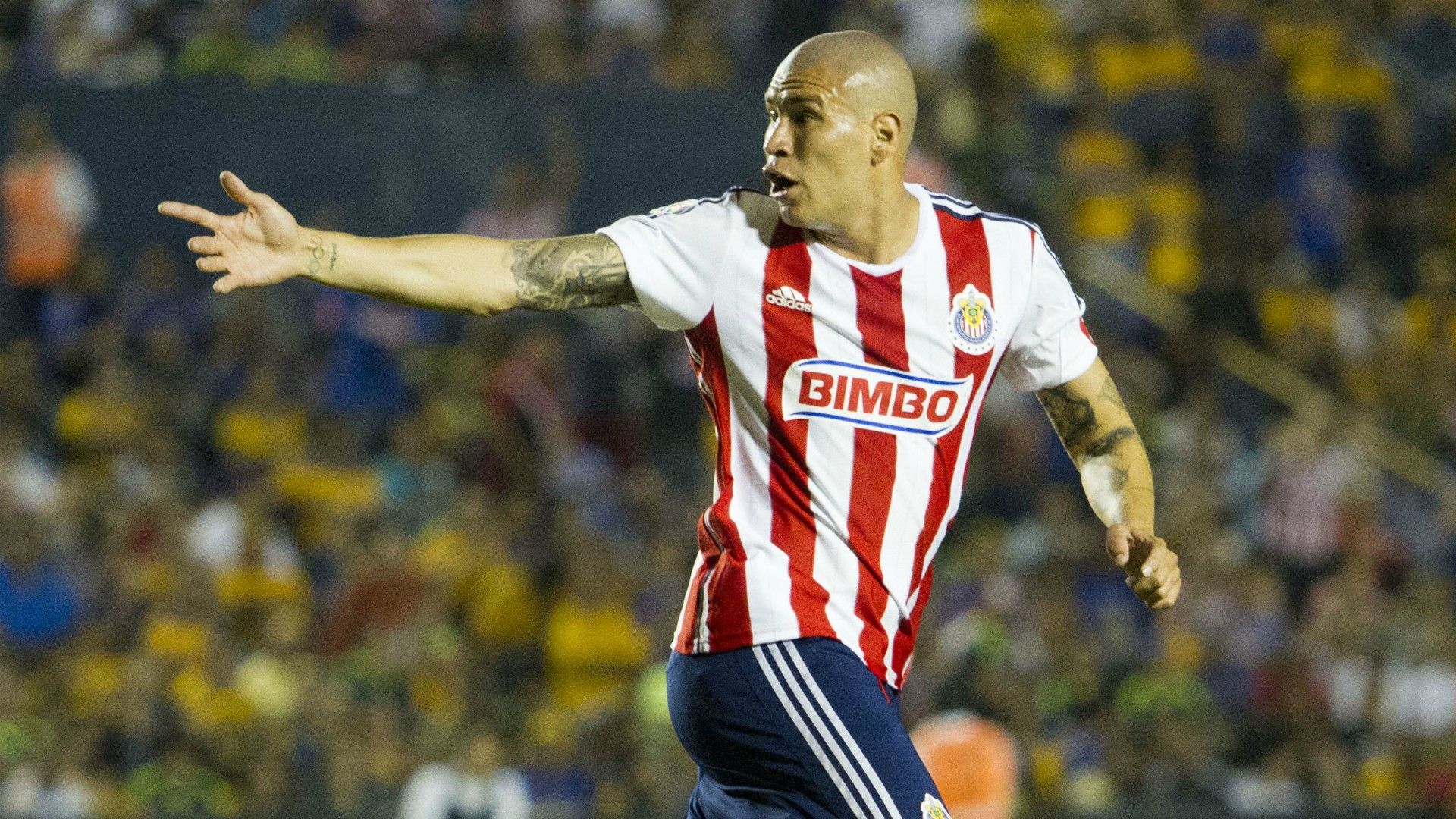 Chaton Enriquez Chivas