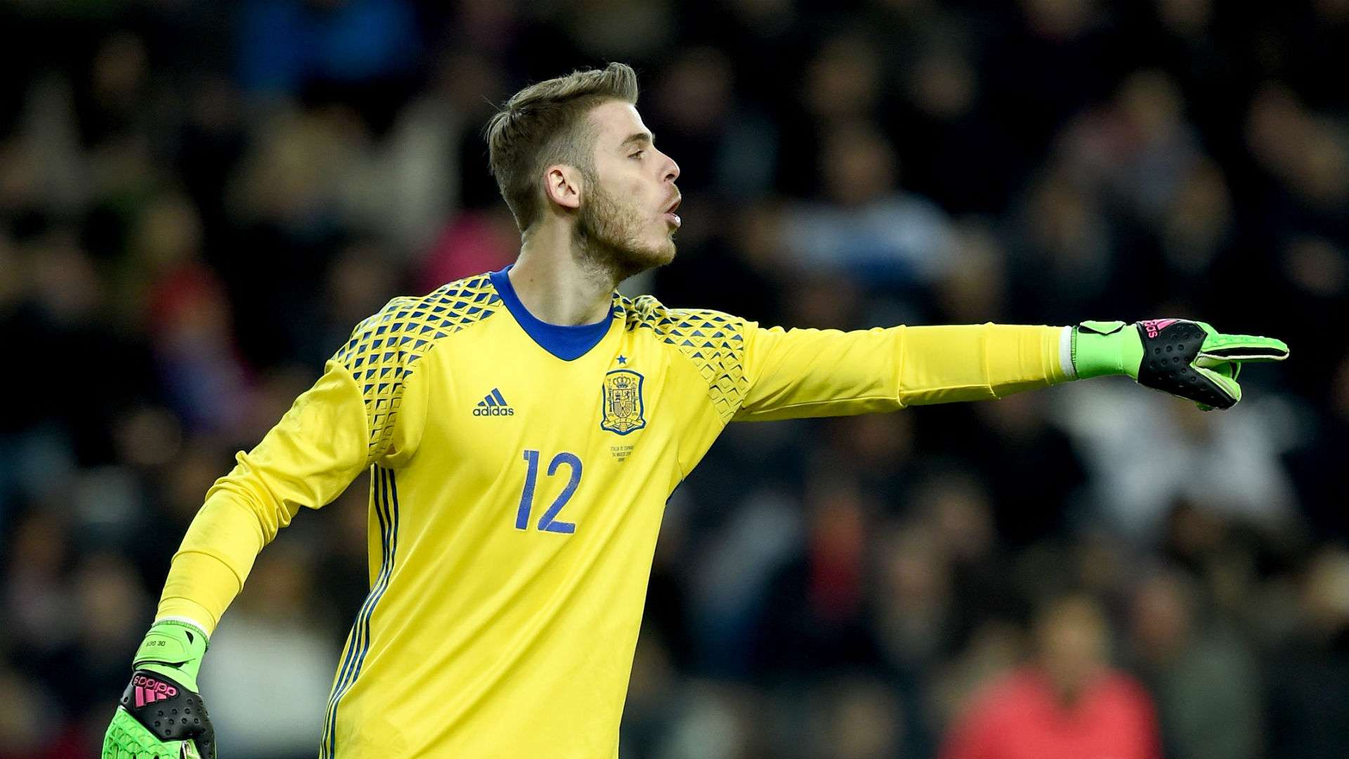 David De Gea Spain