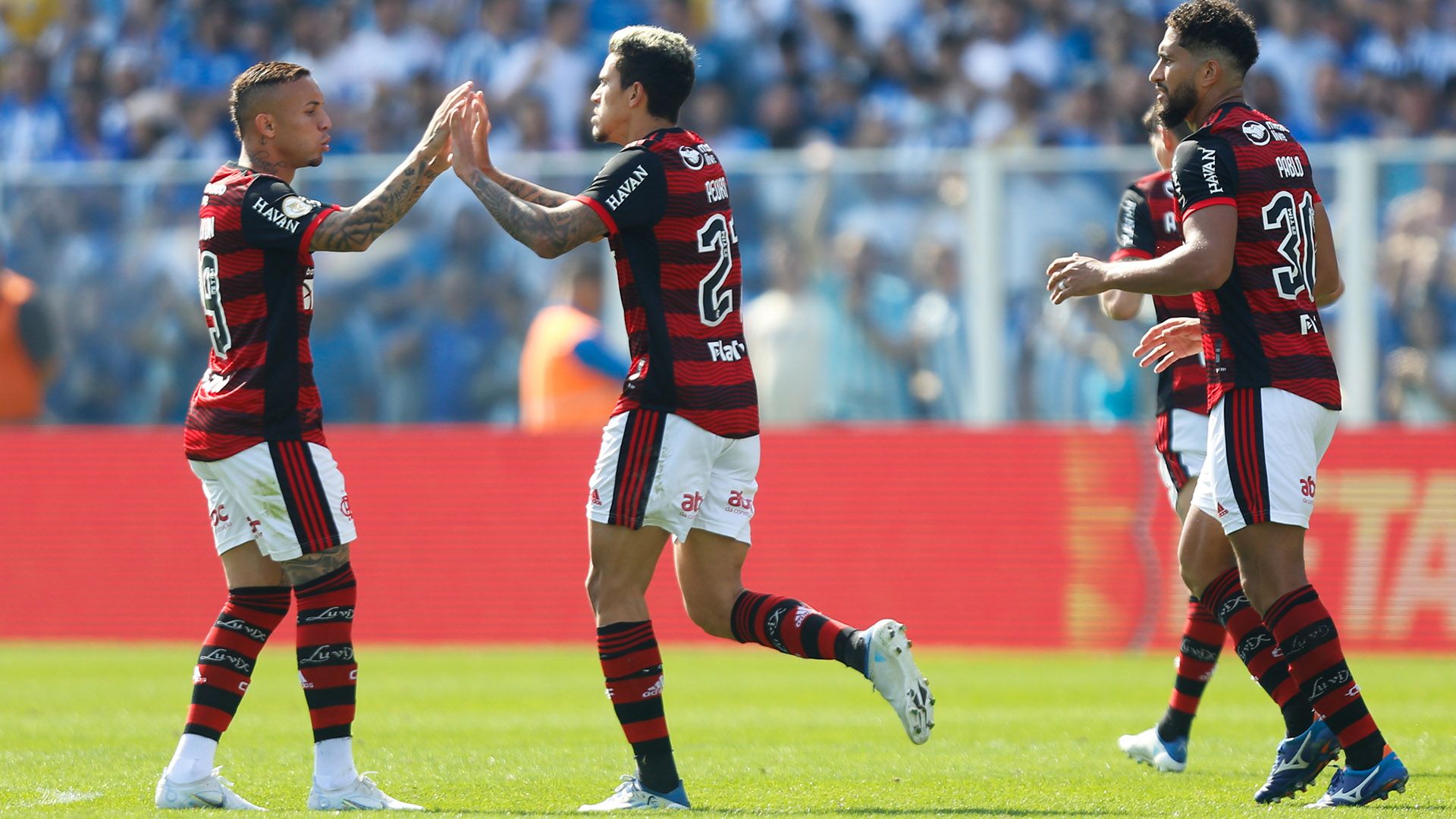 Pedro comemora, Avaí x Flamengo