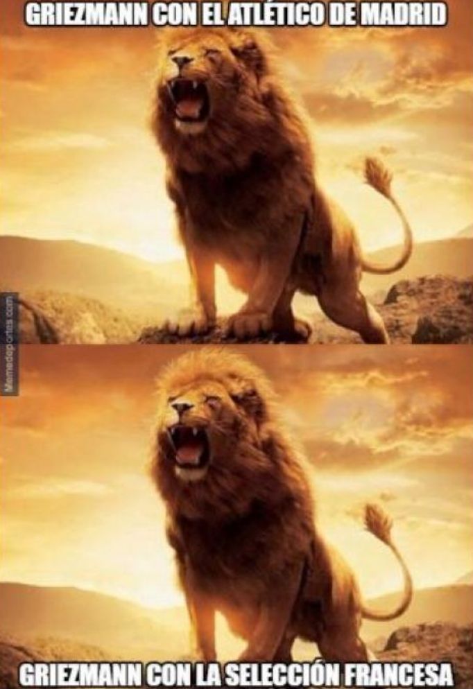 Memes Francia Croacia 150718