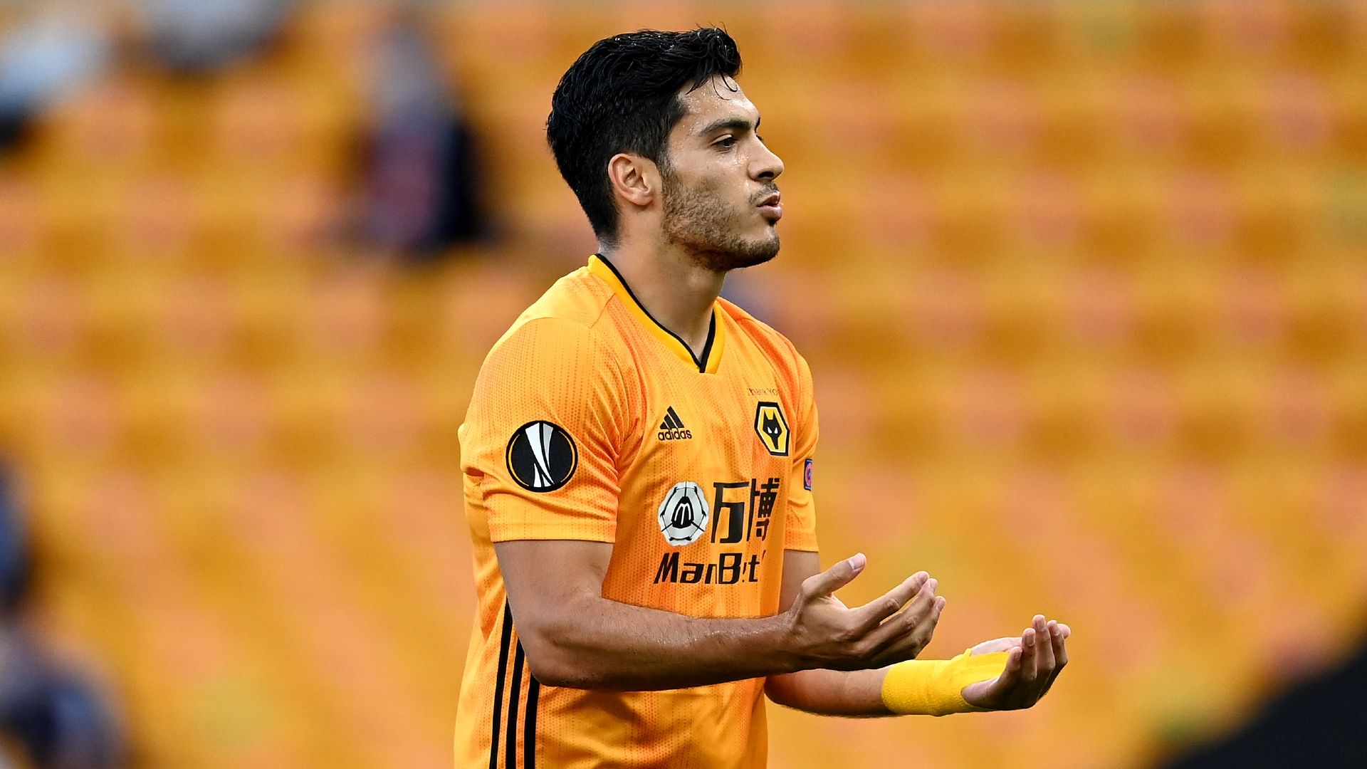 Raul Jimenez Wolves 2019-20