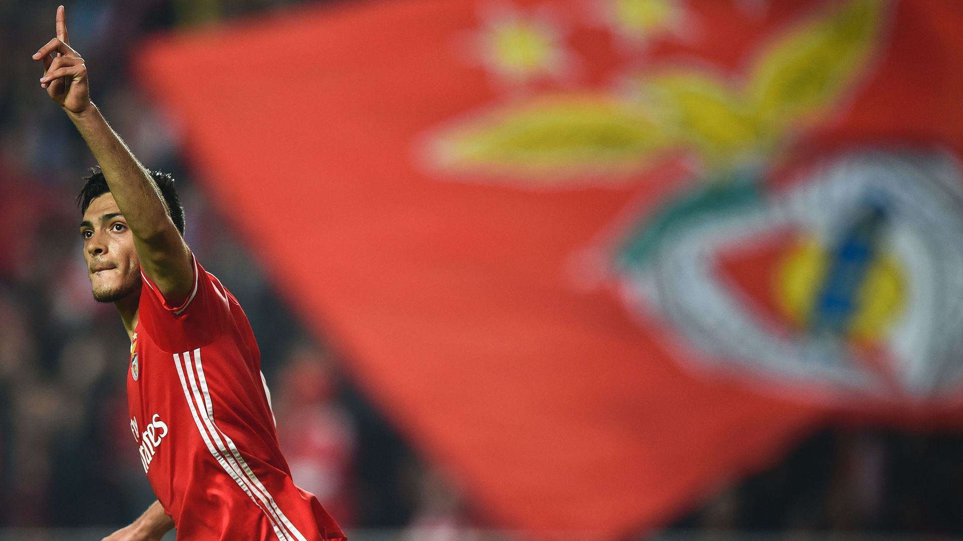 Raul Jimenez Benfica 2016