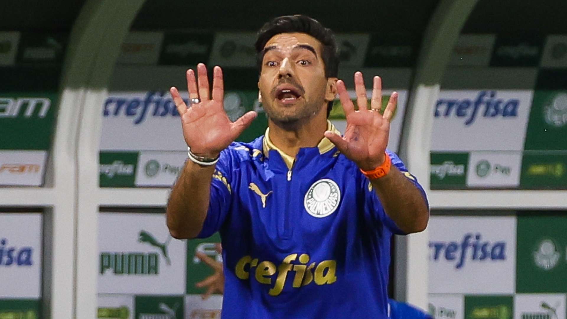 Abel Ferreira, Palmeiras Novorizontino Paulista 2024