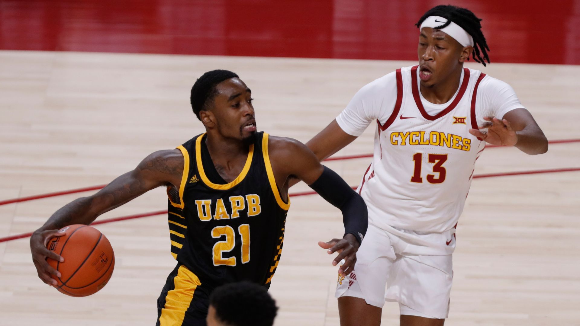 Arkansas-Pine Bluff Golden Lions
