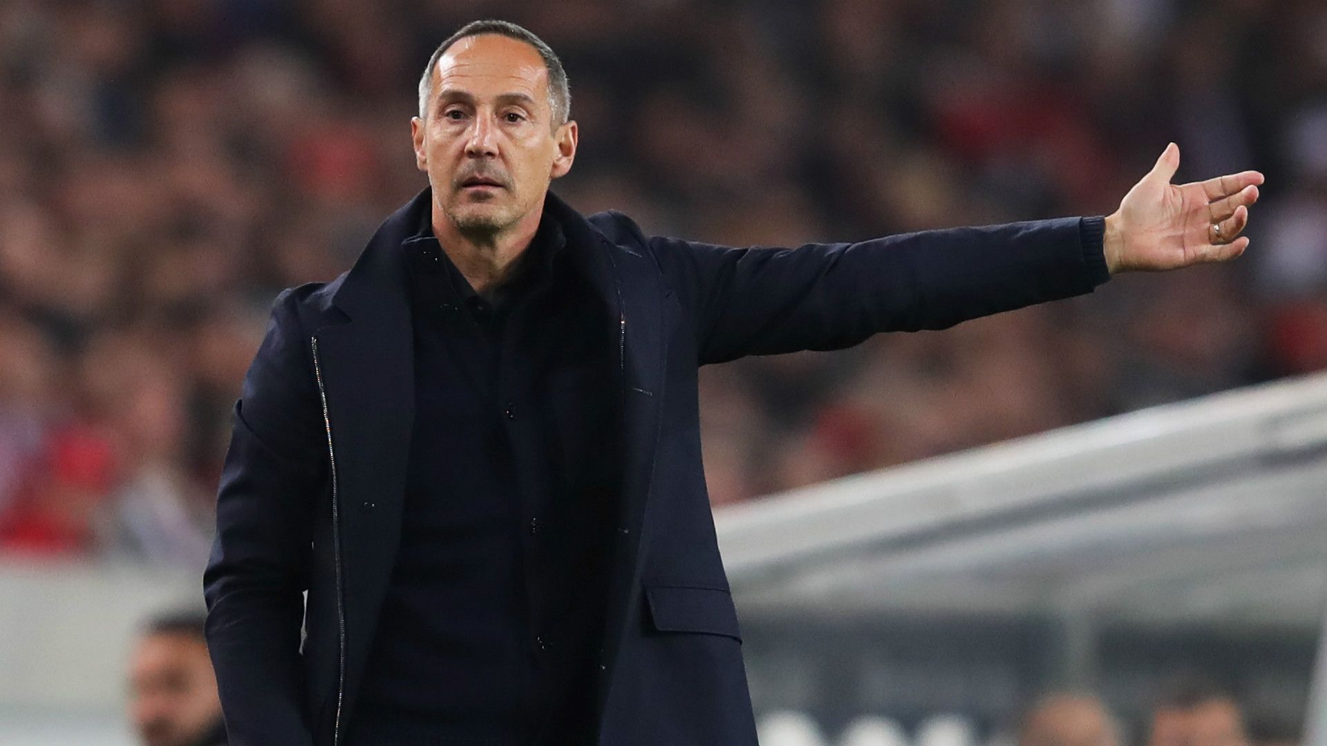 ADI HÜTTER EINTRACHT FRANKFURT GERMAN BUNDESLIGA 02112018