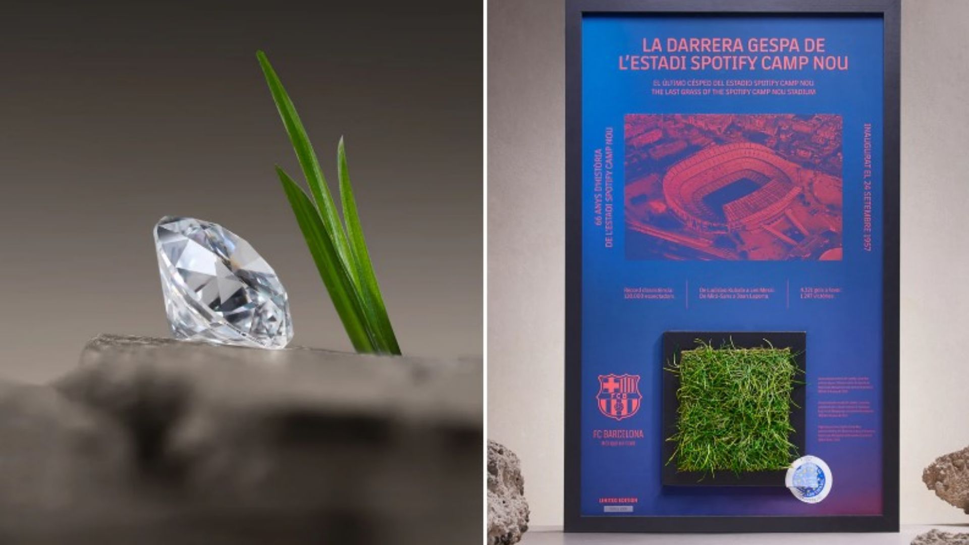 Barcelona Camp Nou grass diamonds