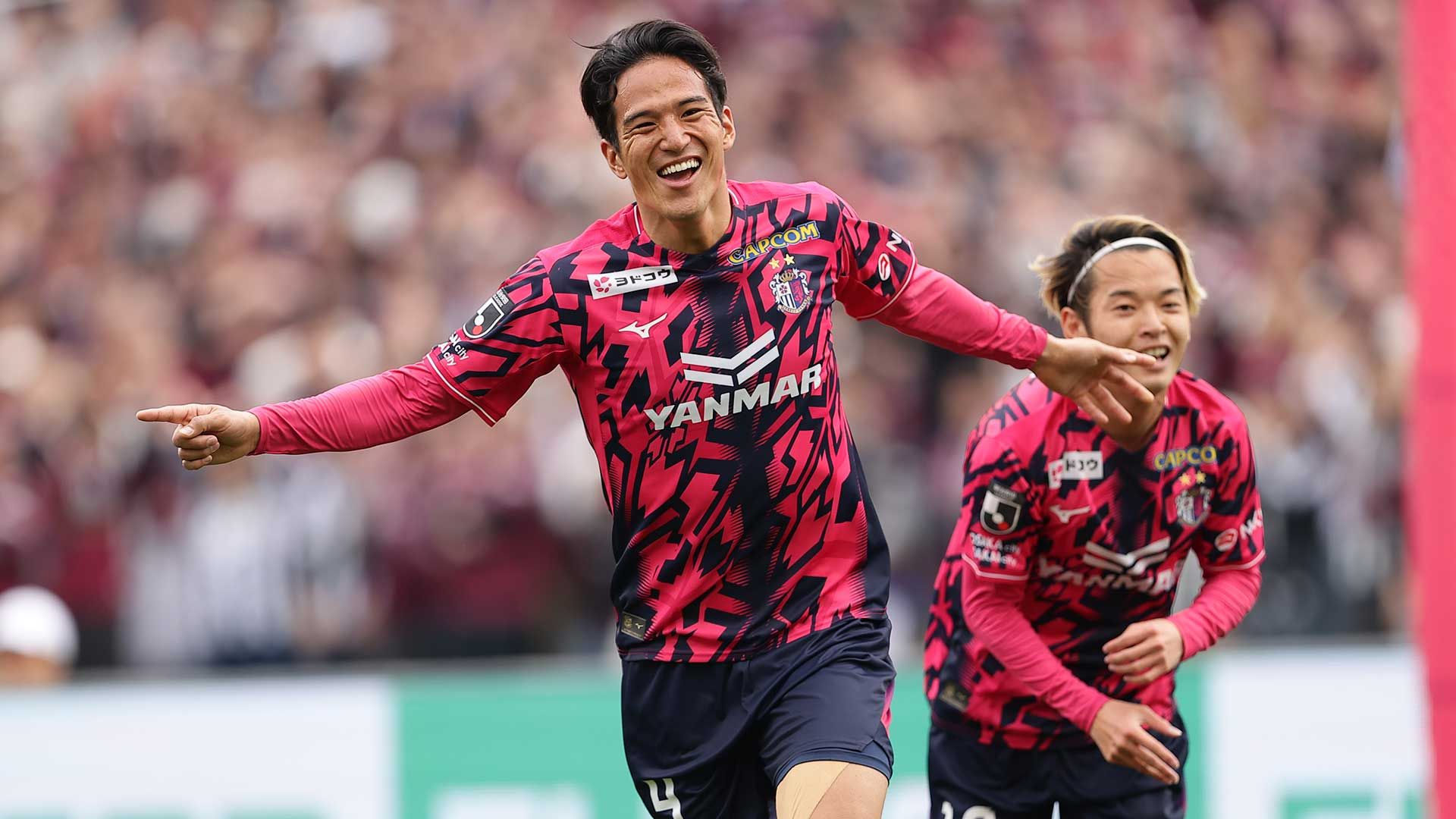cerezo