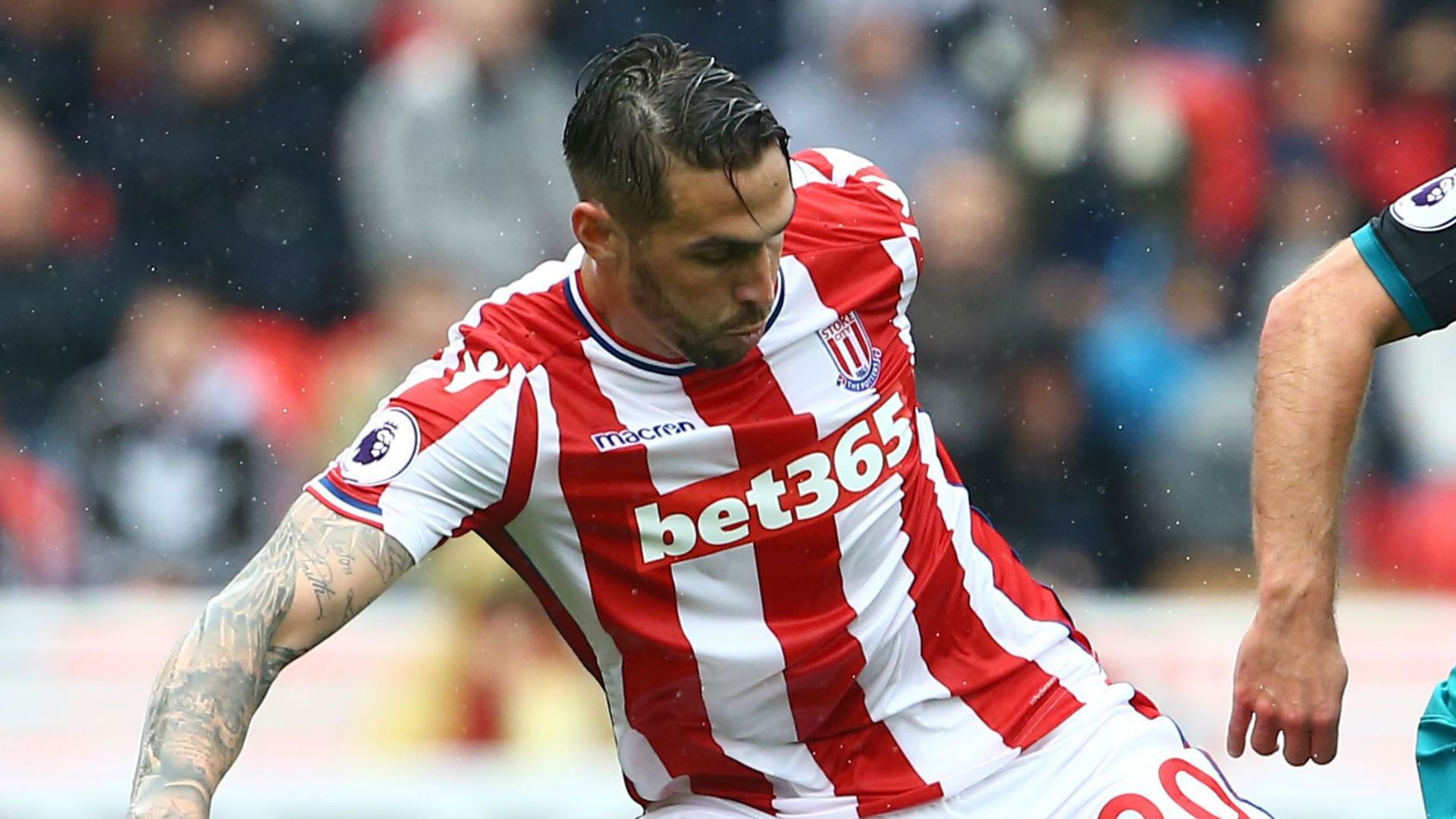 Geoff Cameron Stoke