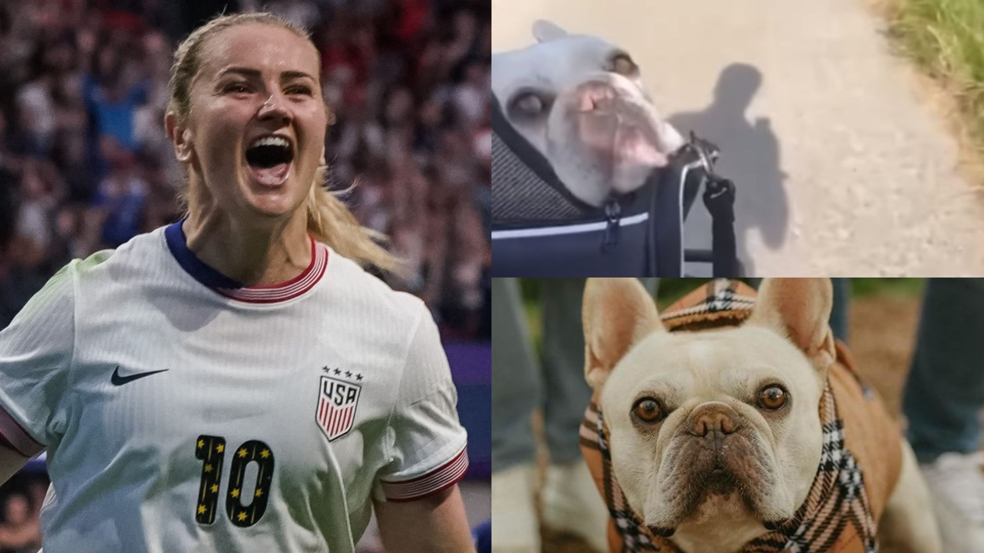 Lindsey Horan dog bike ride