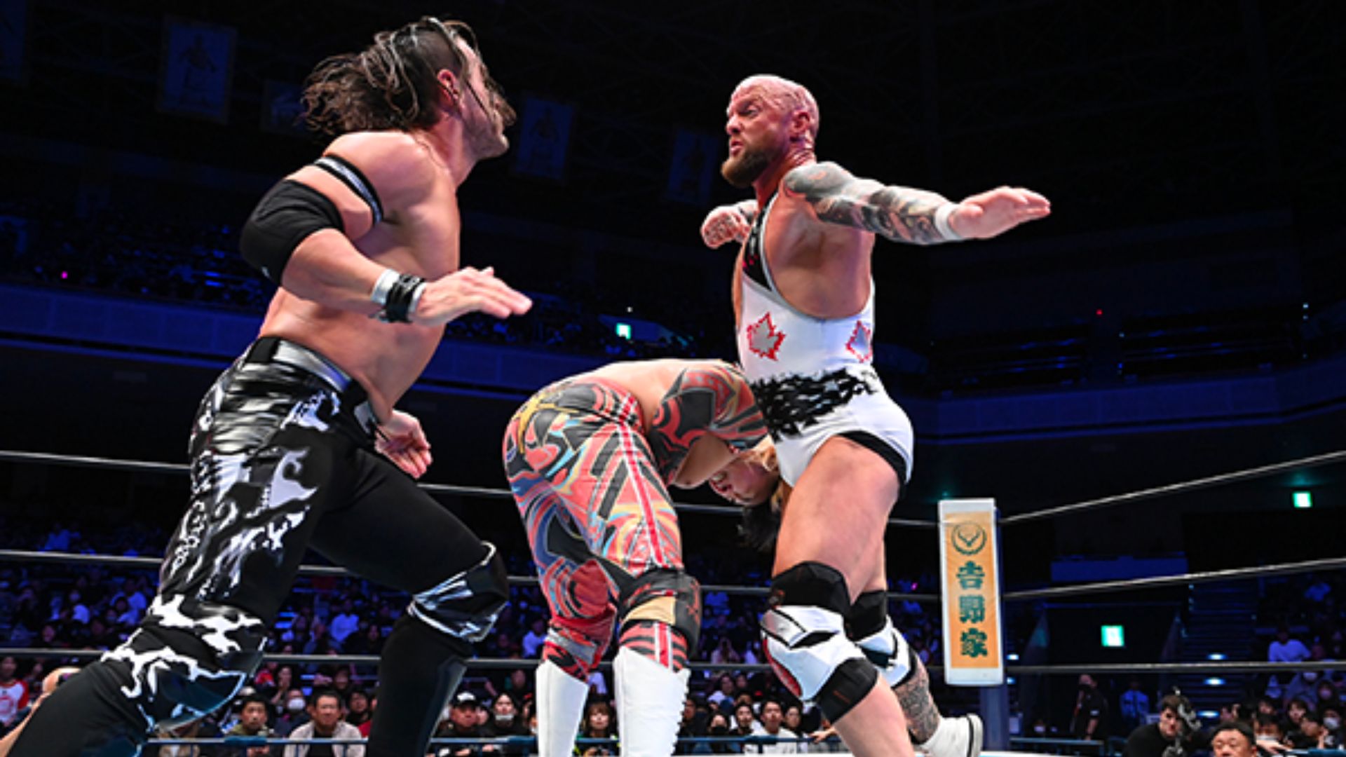 New Japan Pro Wrestling