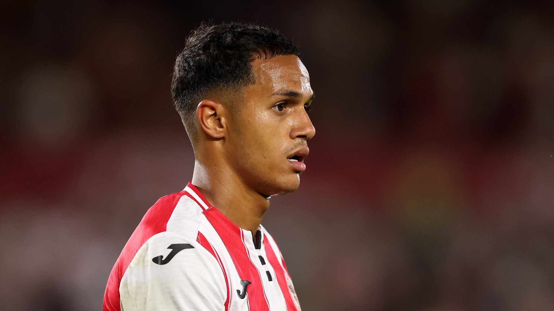 Fabio Carvalho Brentford 2025