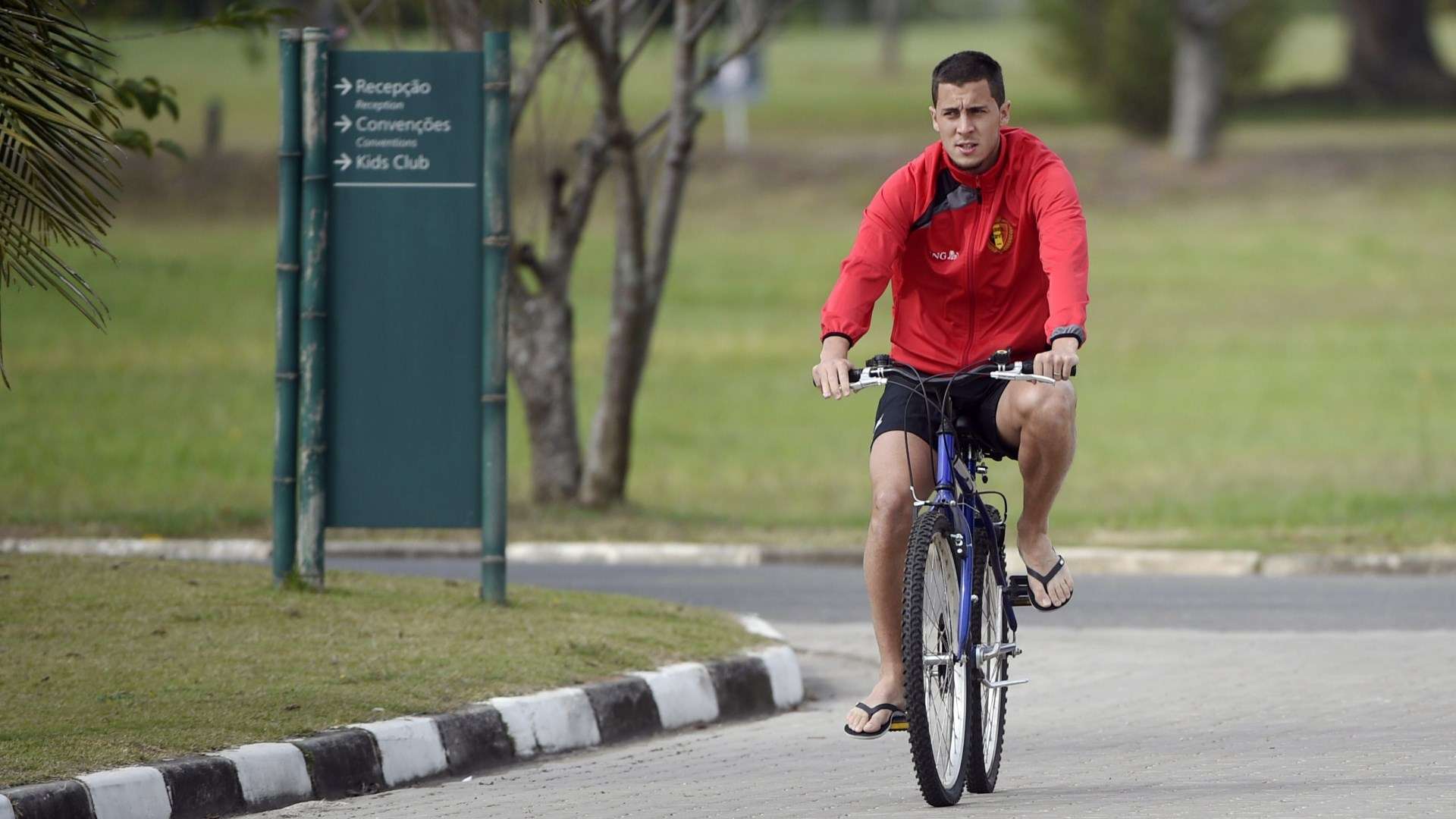Eden Hazard - Belgium 2014