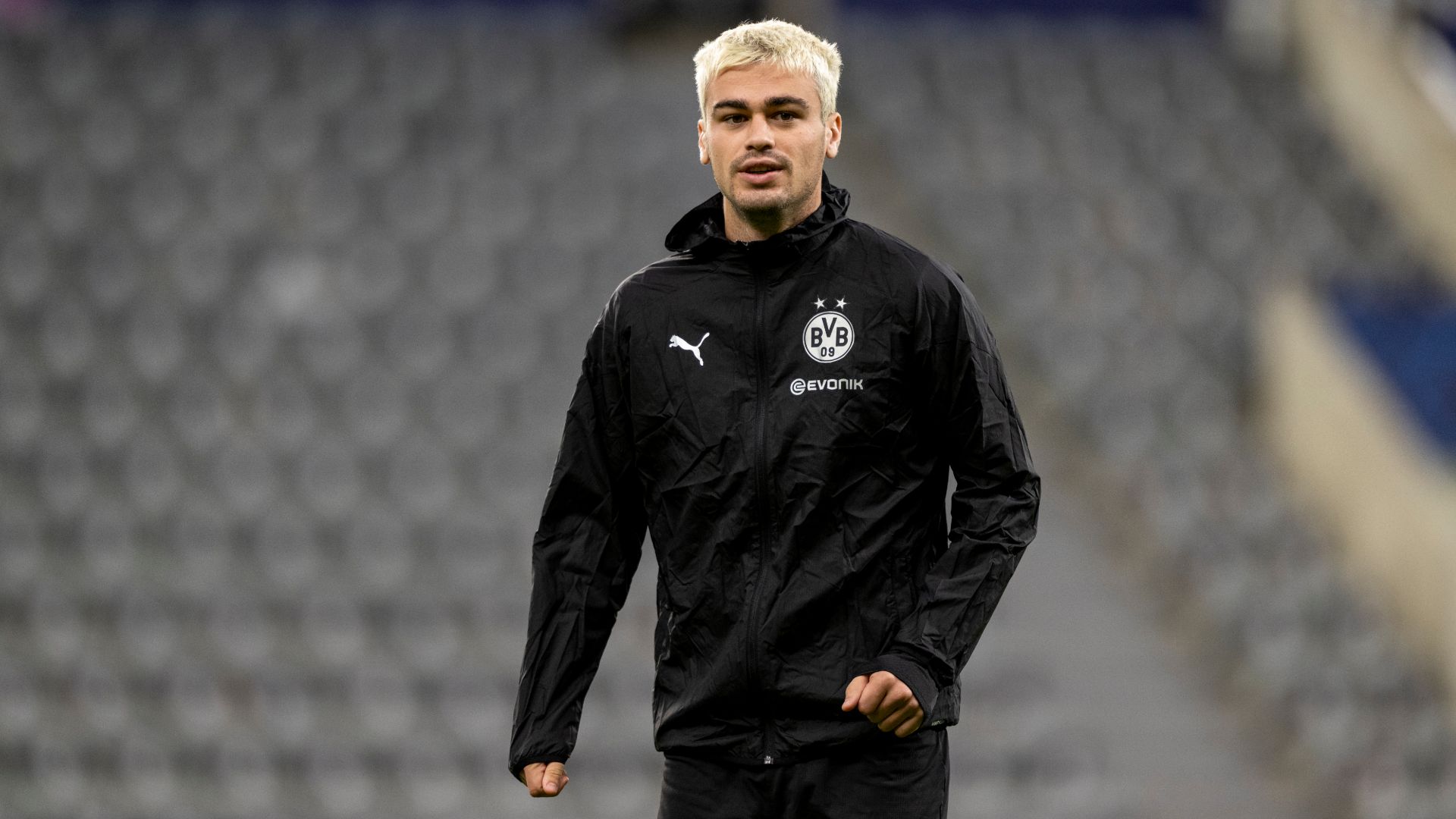 Gio Reyna Dortmund 2023-24