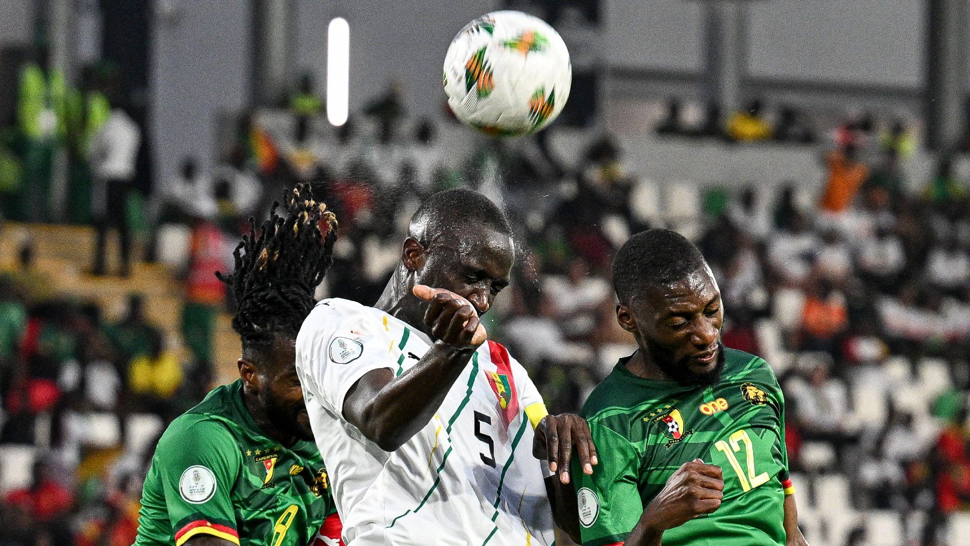 Andre-Frank Anguissa Mouctar Diakhaby Karl Toko Ekambi Cameroon Guinea 2024