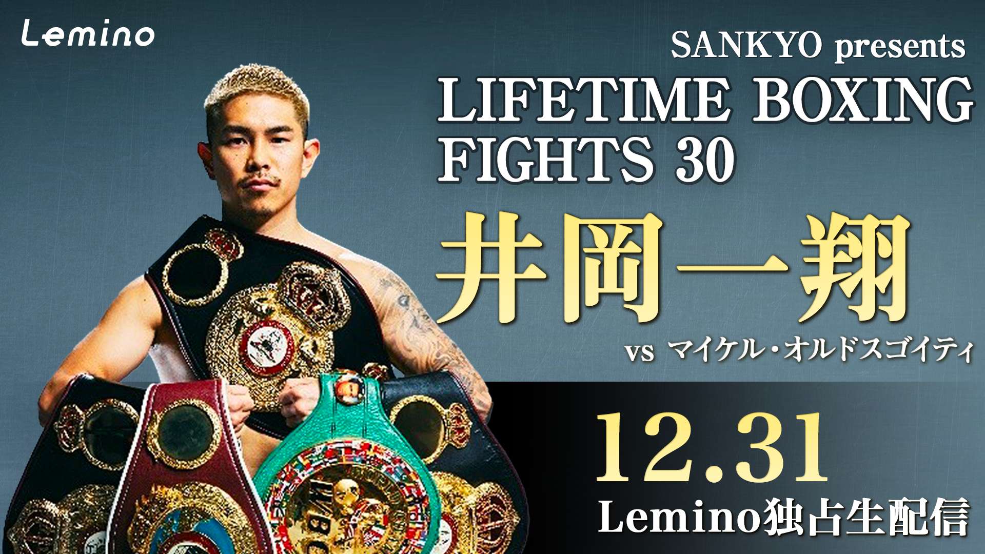 lifetime boxing fights 30