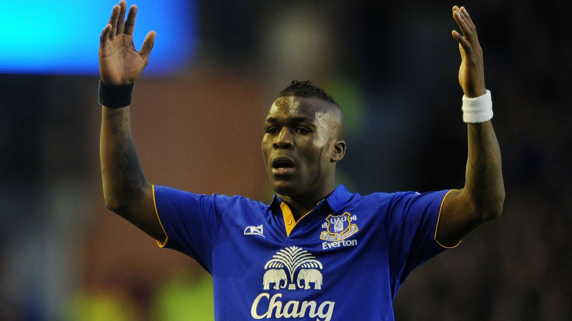 19nzlf9hf554u1k501bks0ky5y