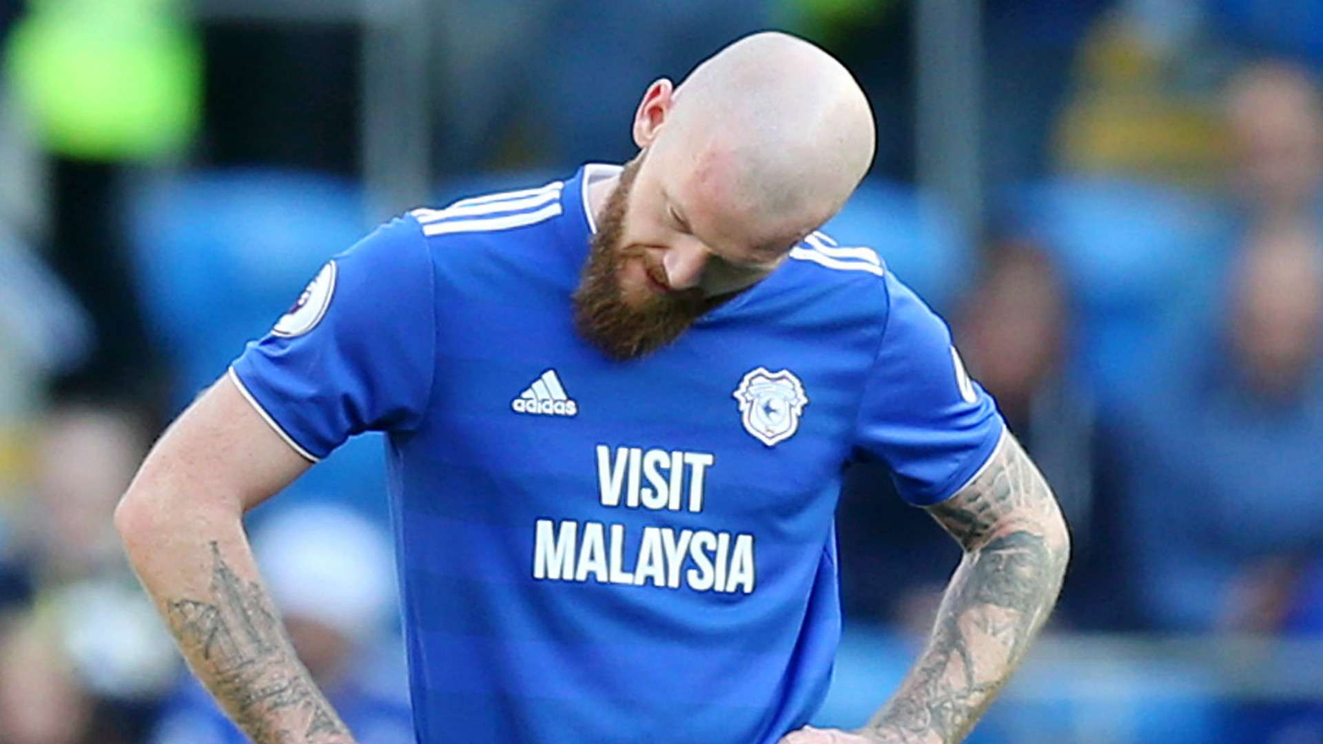 Aron Gunnarsson Cardiff City 2018-19