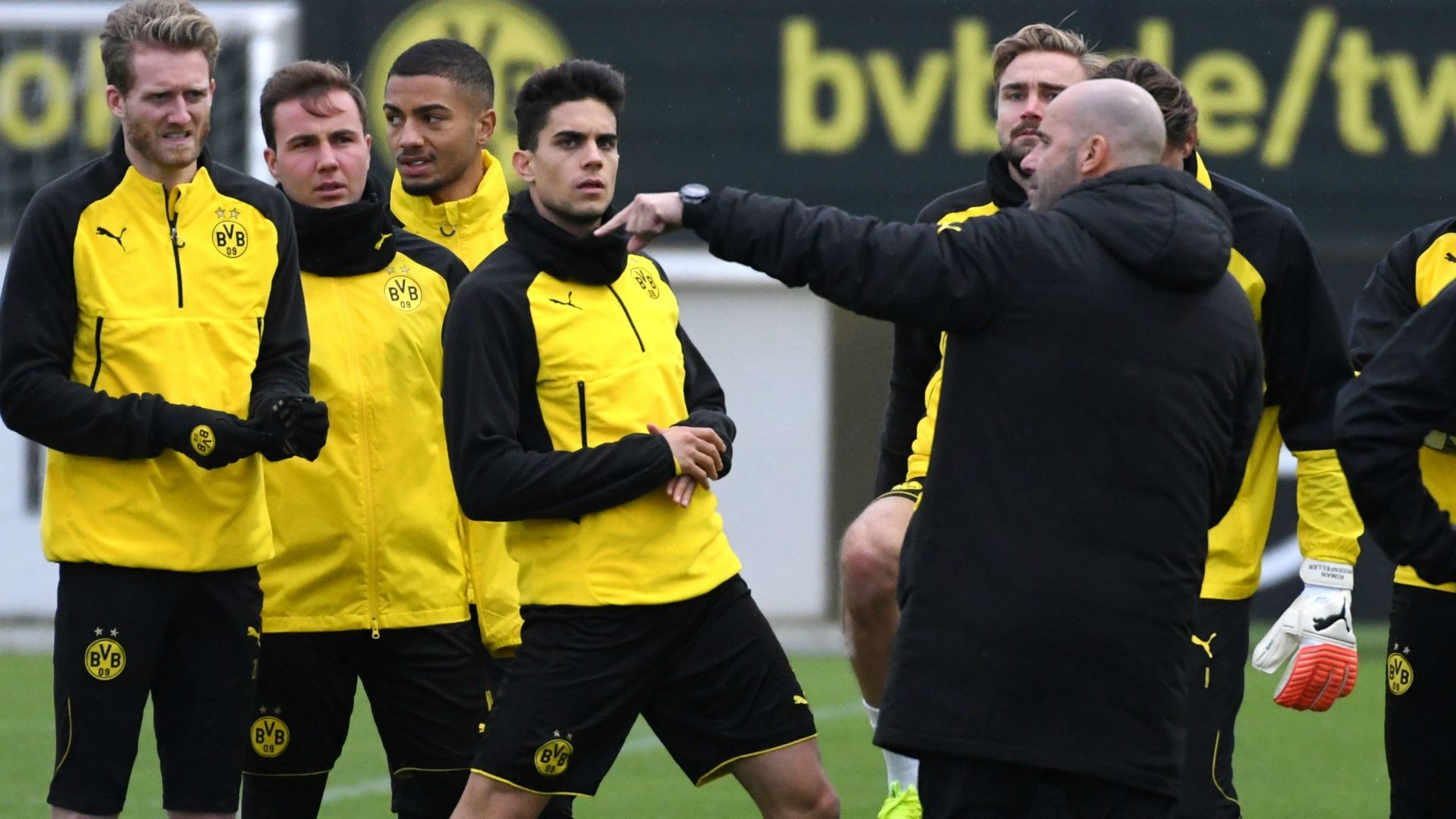 Peter Bosz Borussia Dortmund