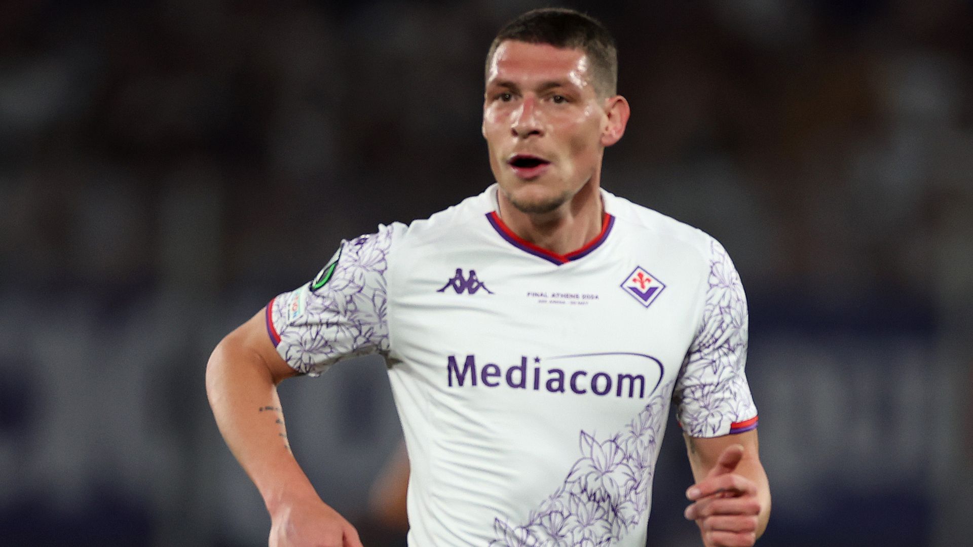 Belotti Fiorentina