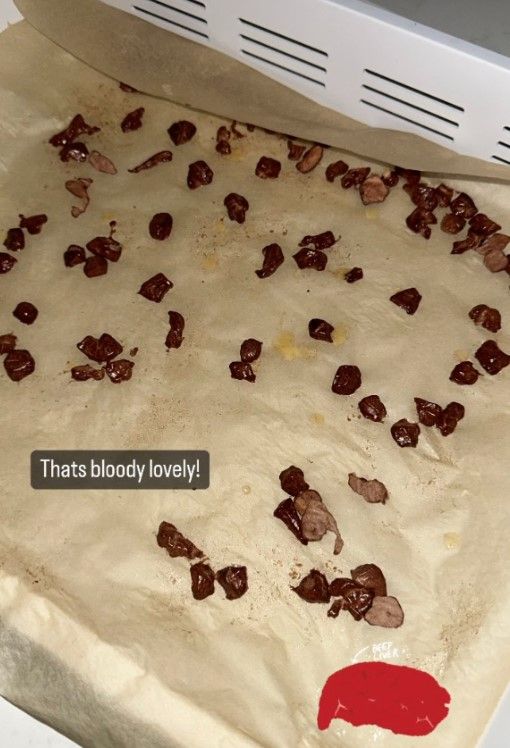 Erling Haaland liver