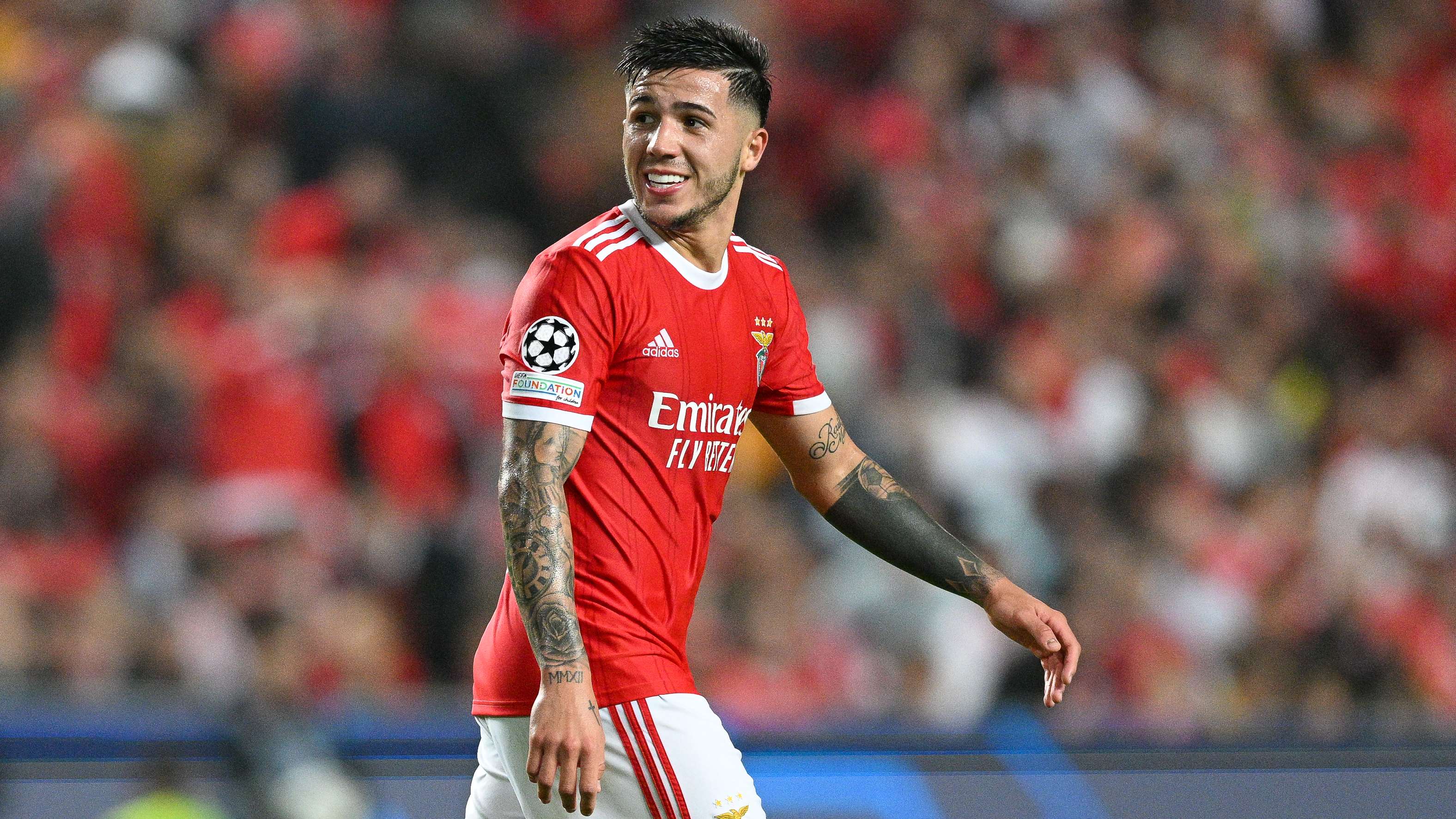 Enzo Fernandez Benfica 