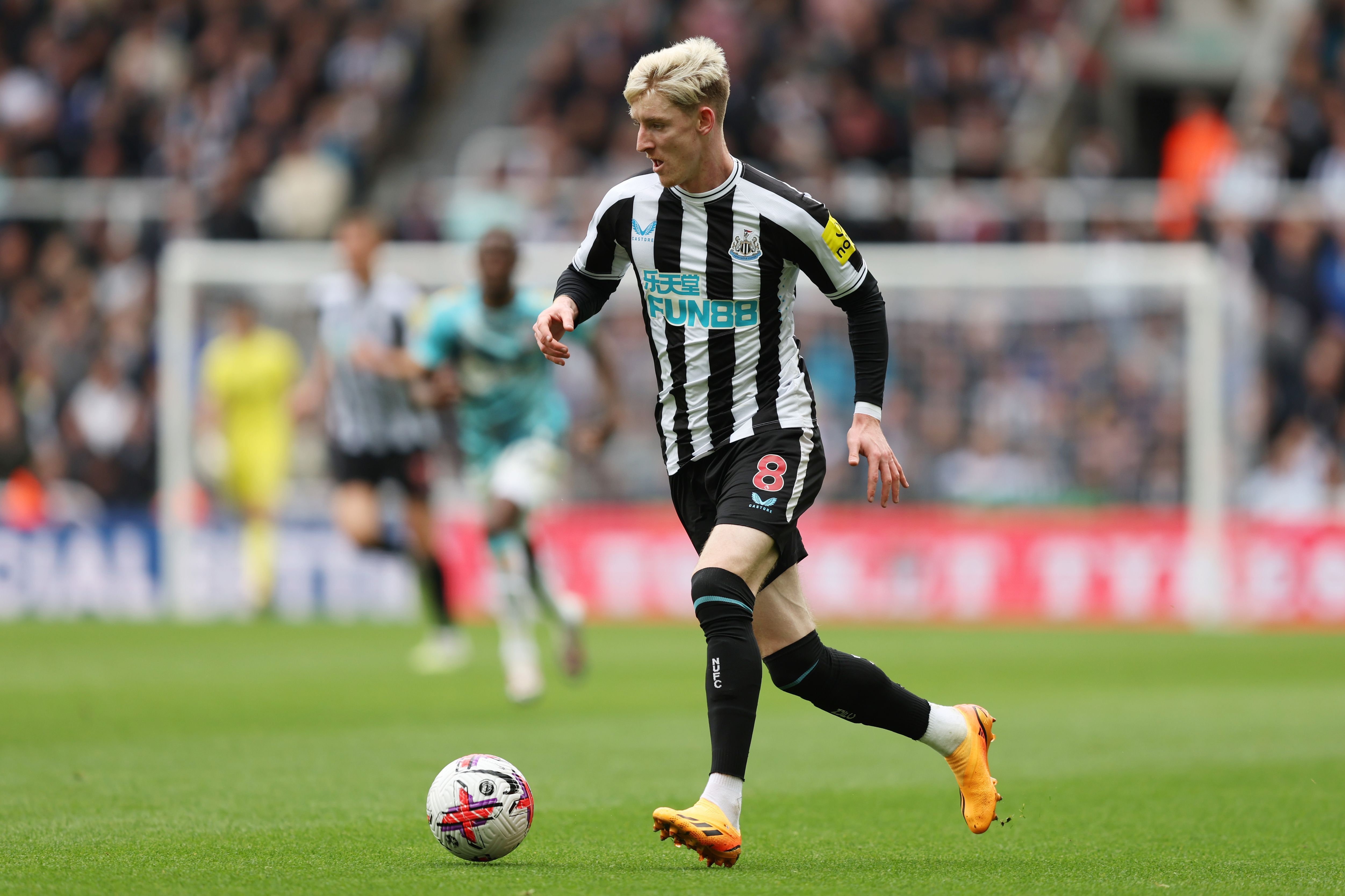 แอนโธนี กอร์ดอน