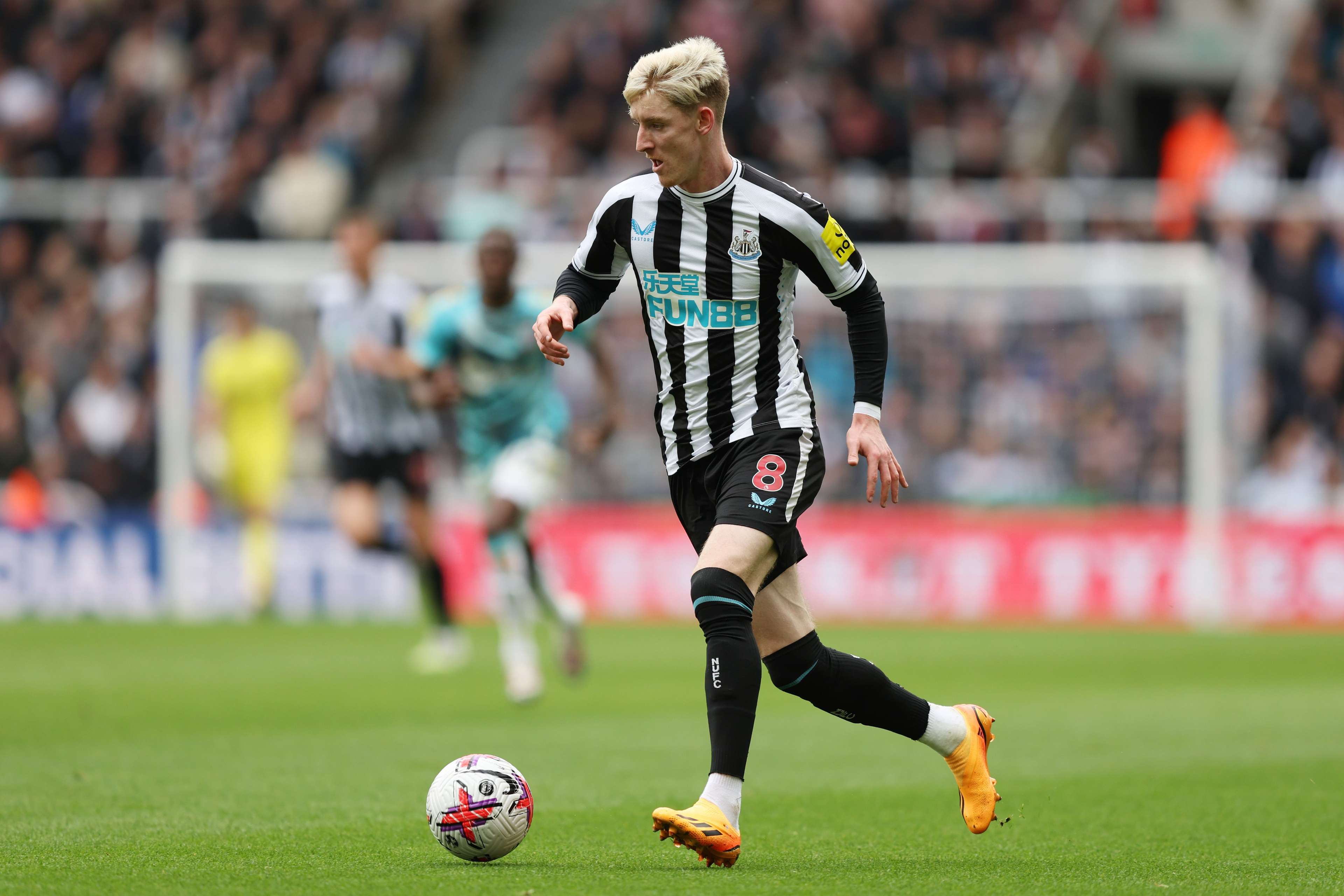 แอนโธนี กอร์ดอน