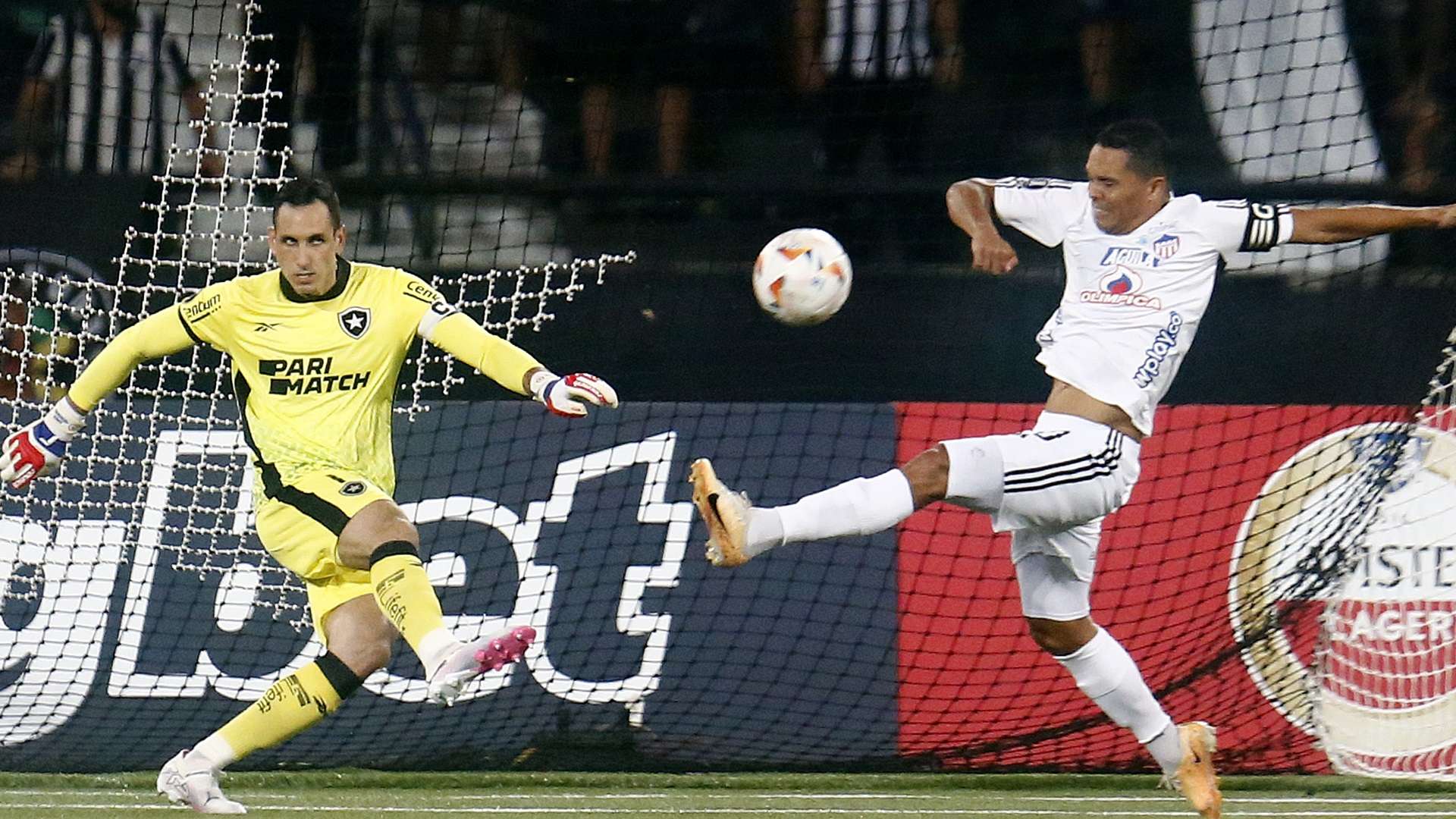 Gatito Carlos Bacca, Botafogo Junior Libertadores 2024