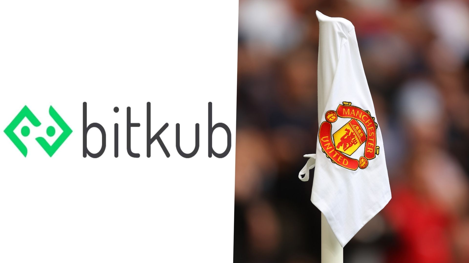 Bitkub & Man United