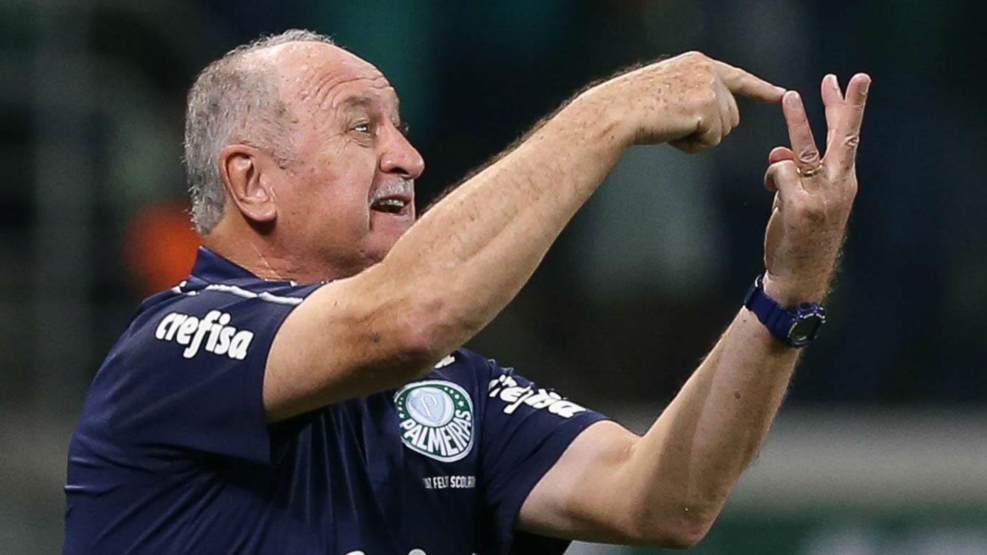 Felipão Scolari Palmeiras 02 06 2019