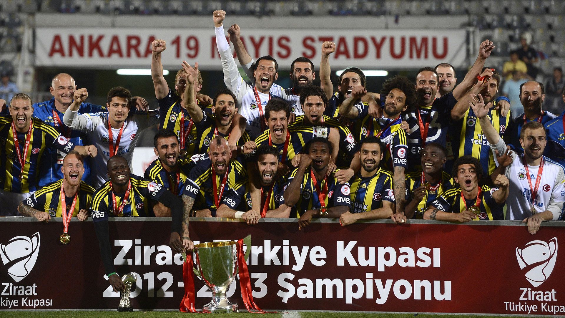 fenerbahce turkiye kupasi 2013