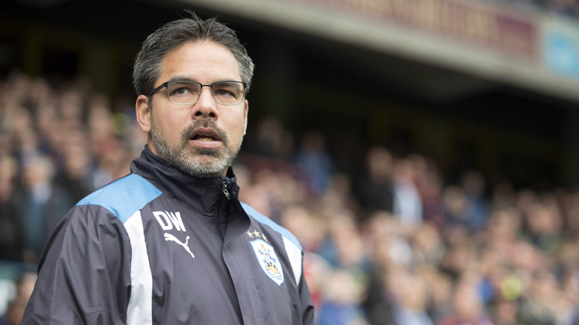 David Wagner Huddersfield 2016