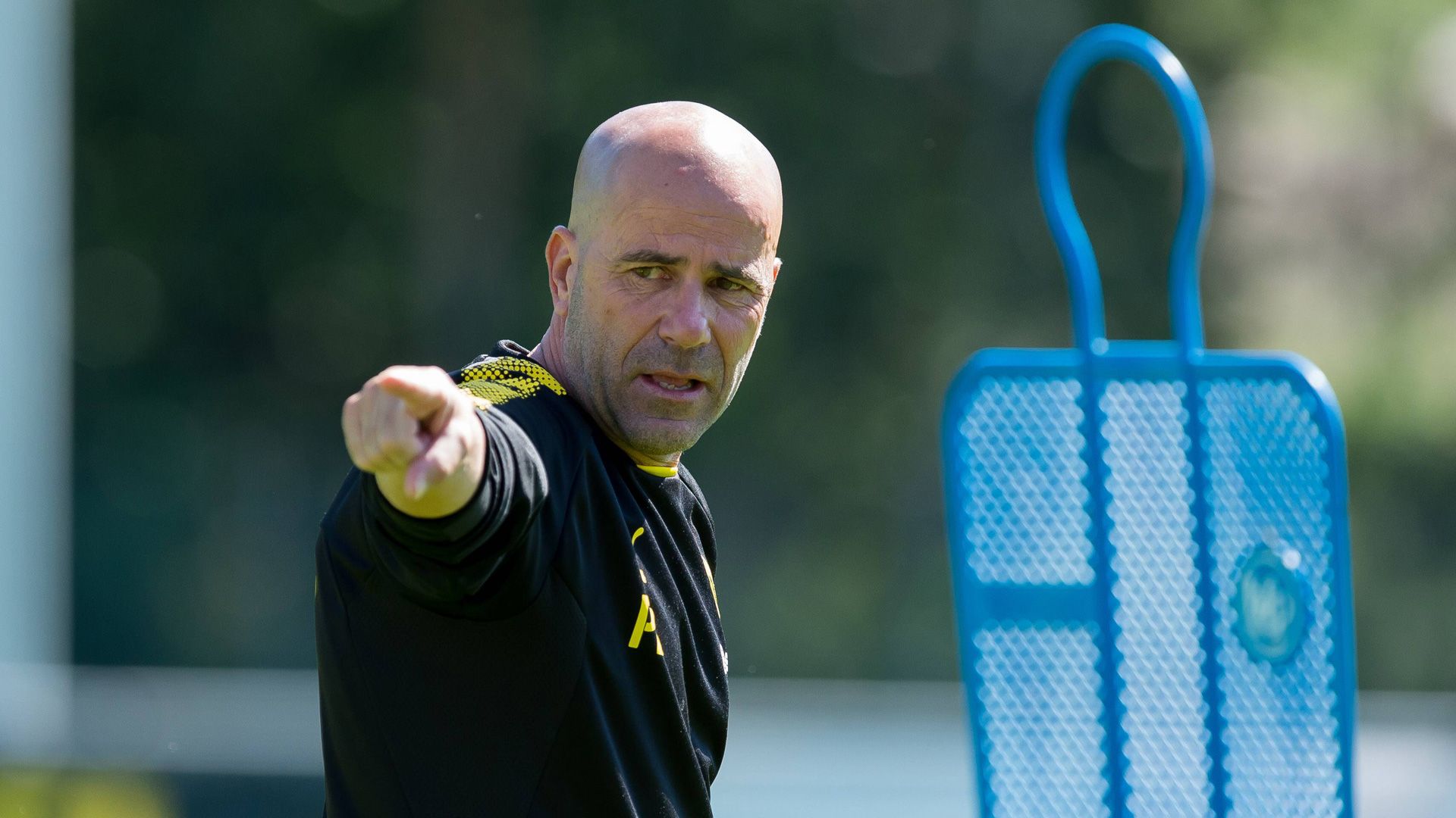 ONLY GERMAN || Peter Bosz Borussia Dortmund