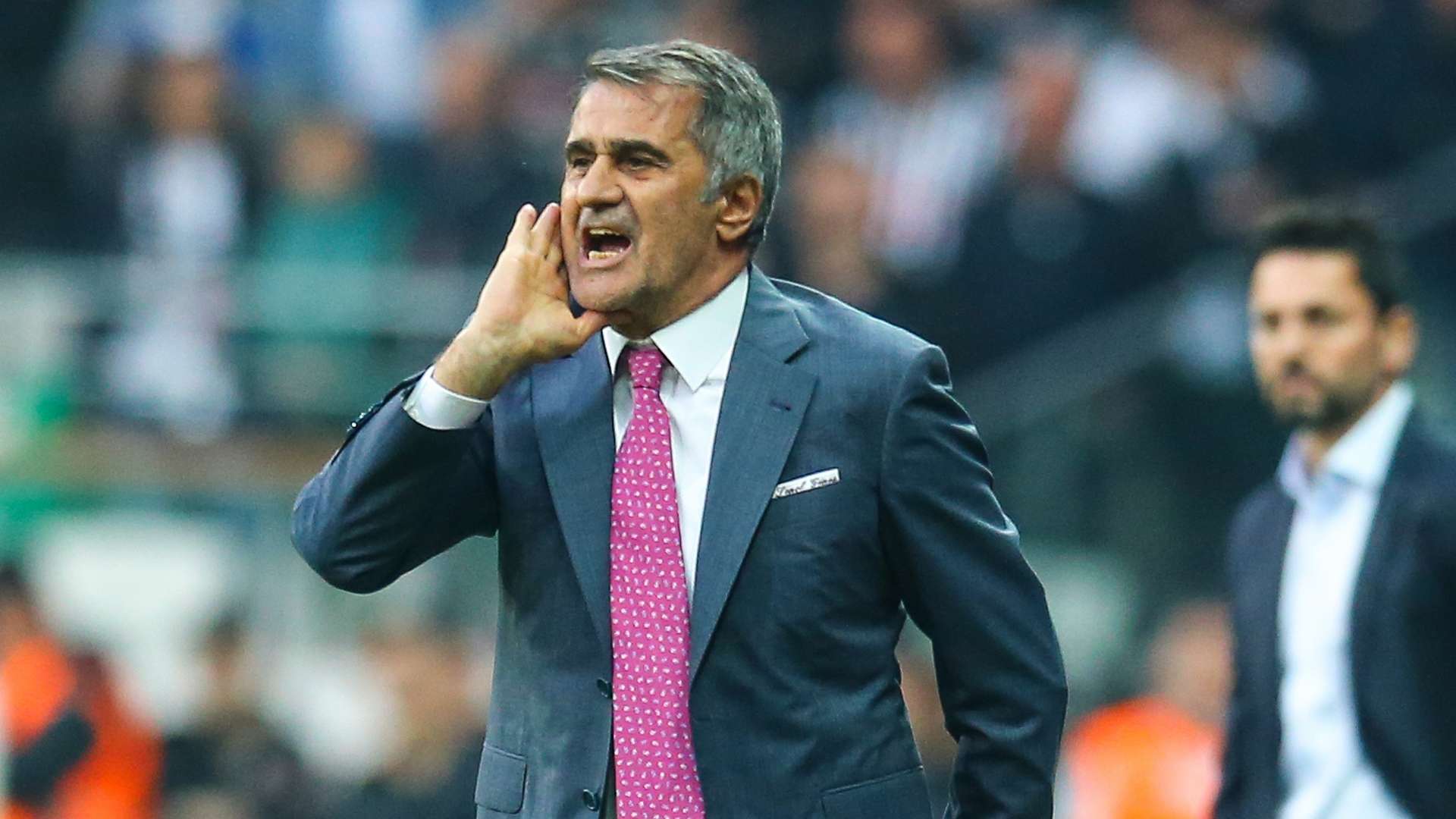 Senol Gunes Besiktas