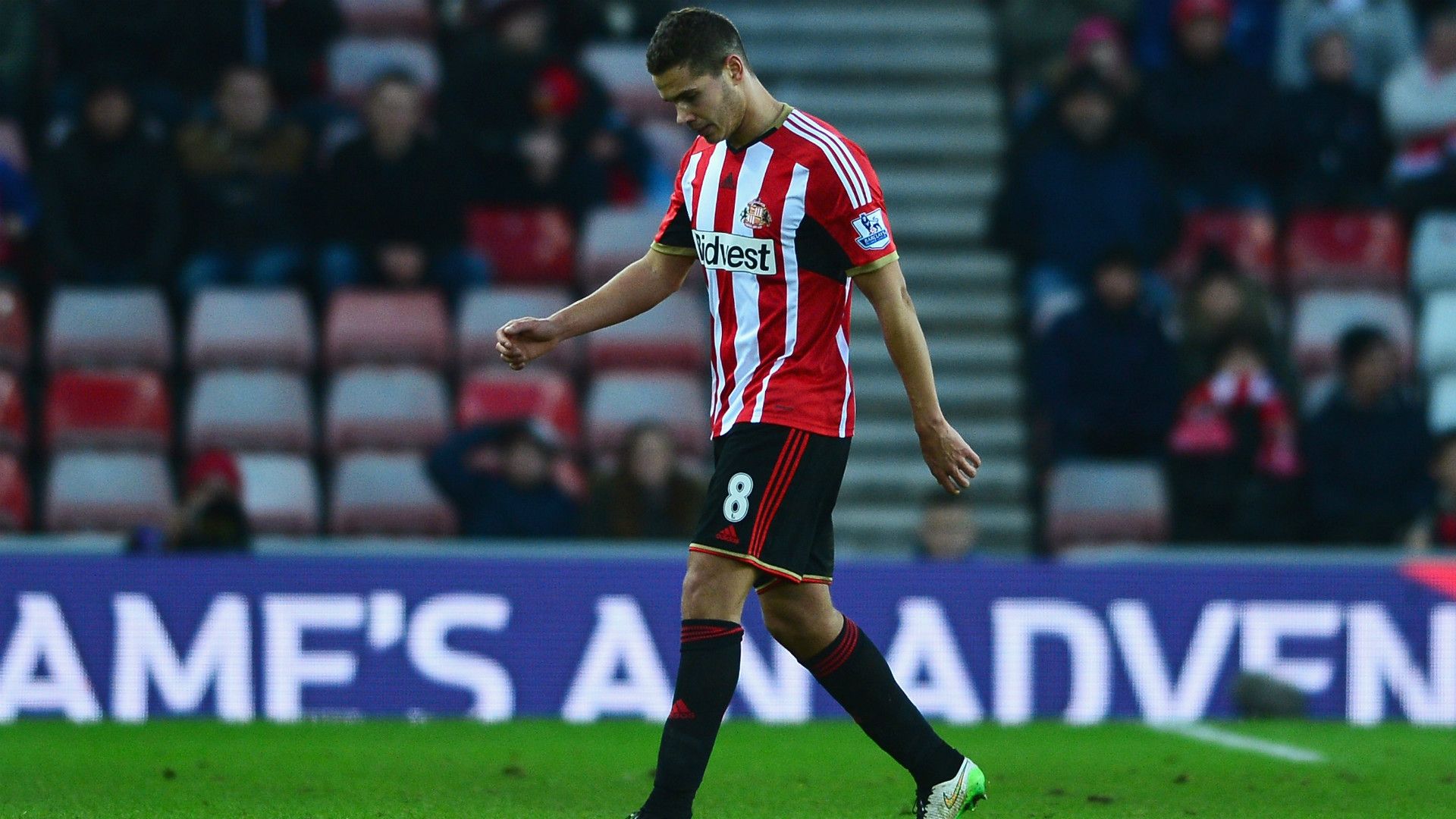 Jack Rodwell Sunderland